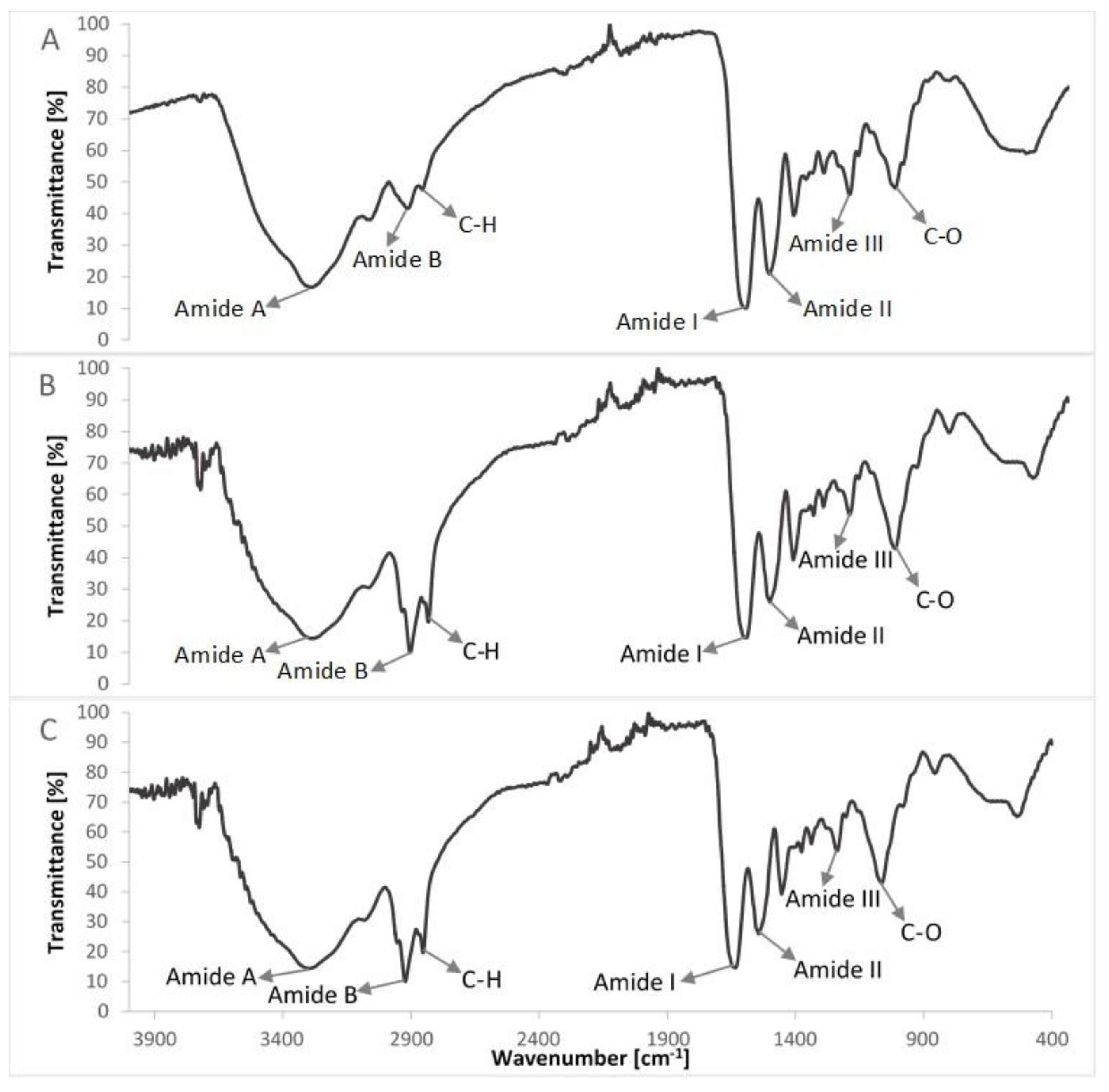 Polymers 10 00456 g006