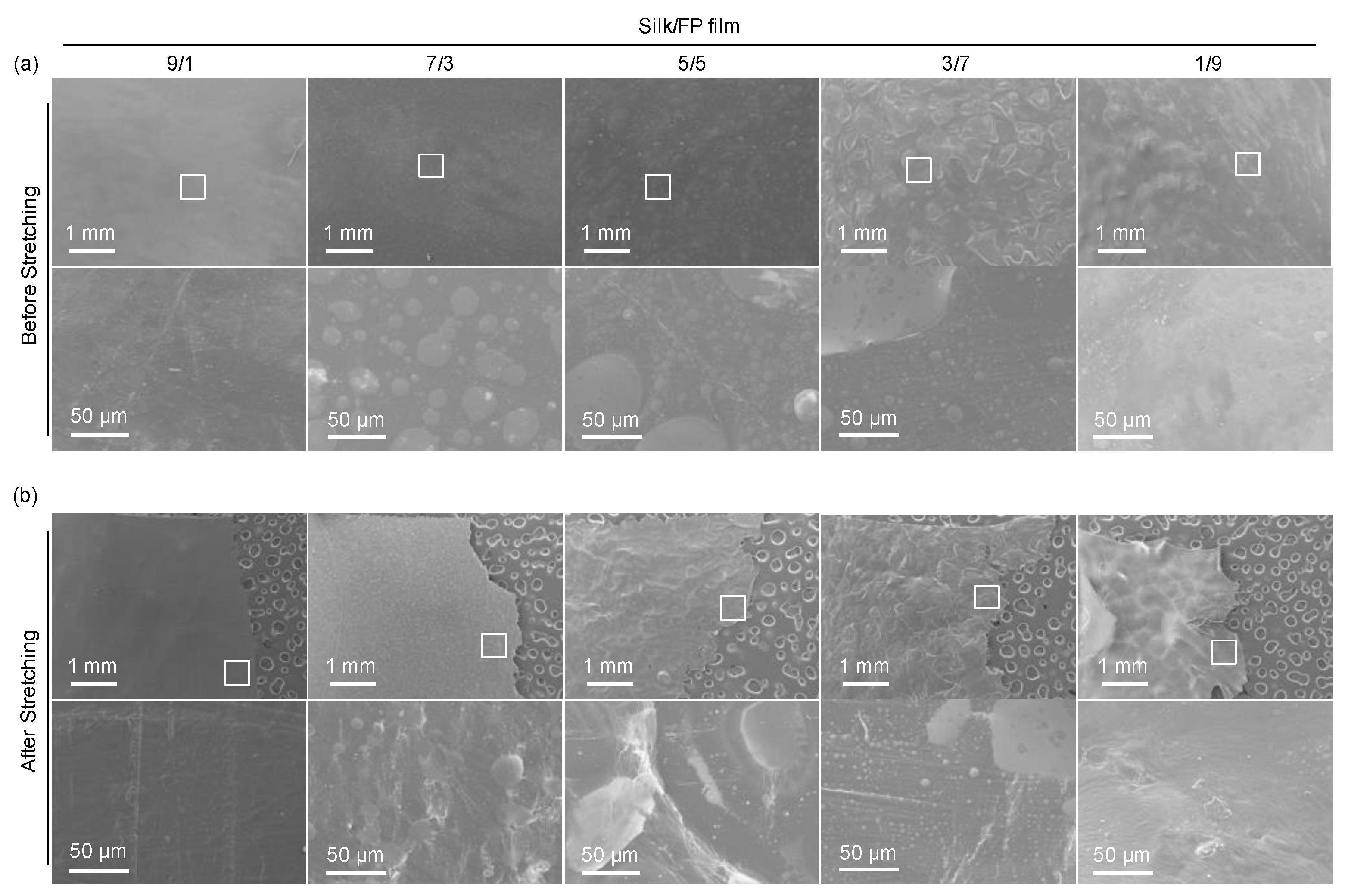 Polymers 10 00459 g003