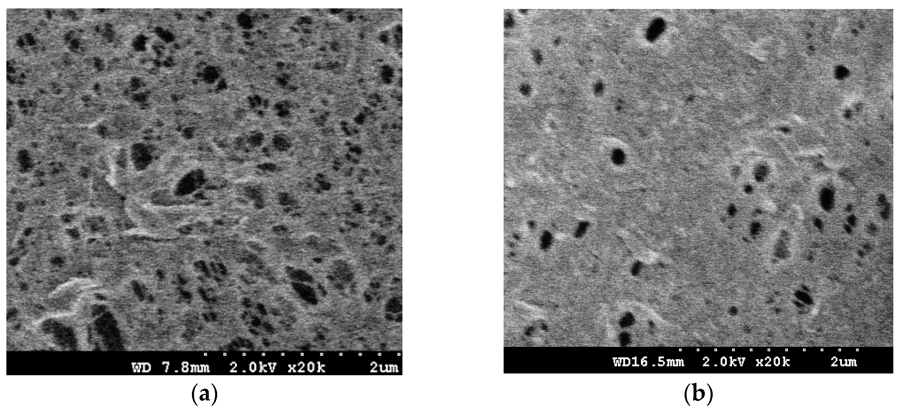 Polymers 10 00463 g002a