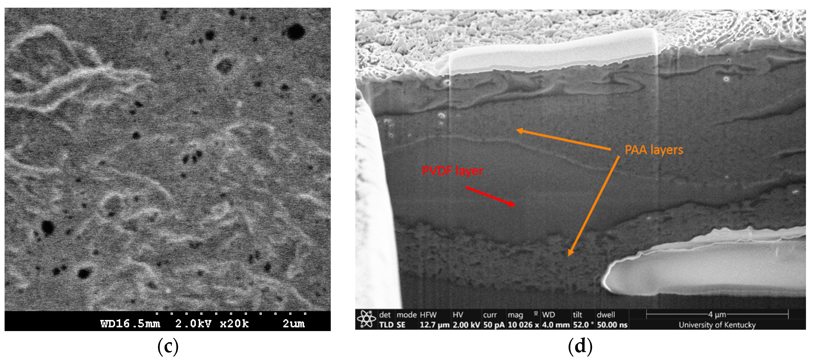 Polymers 10 00463 g002b