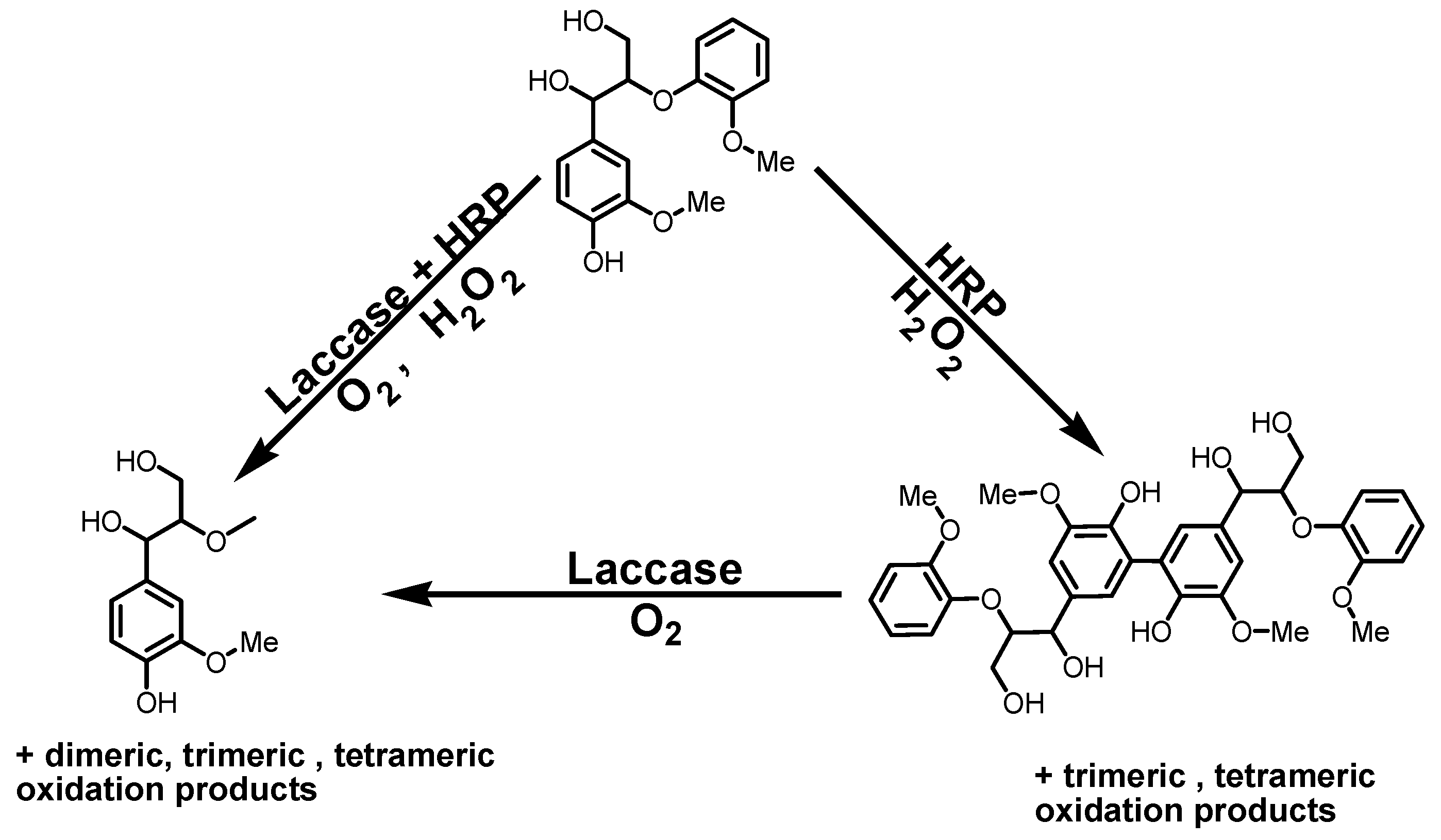 Polymers 10 00463 sch001