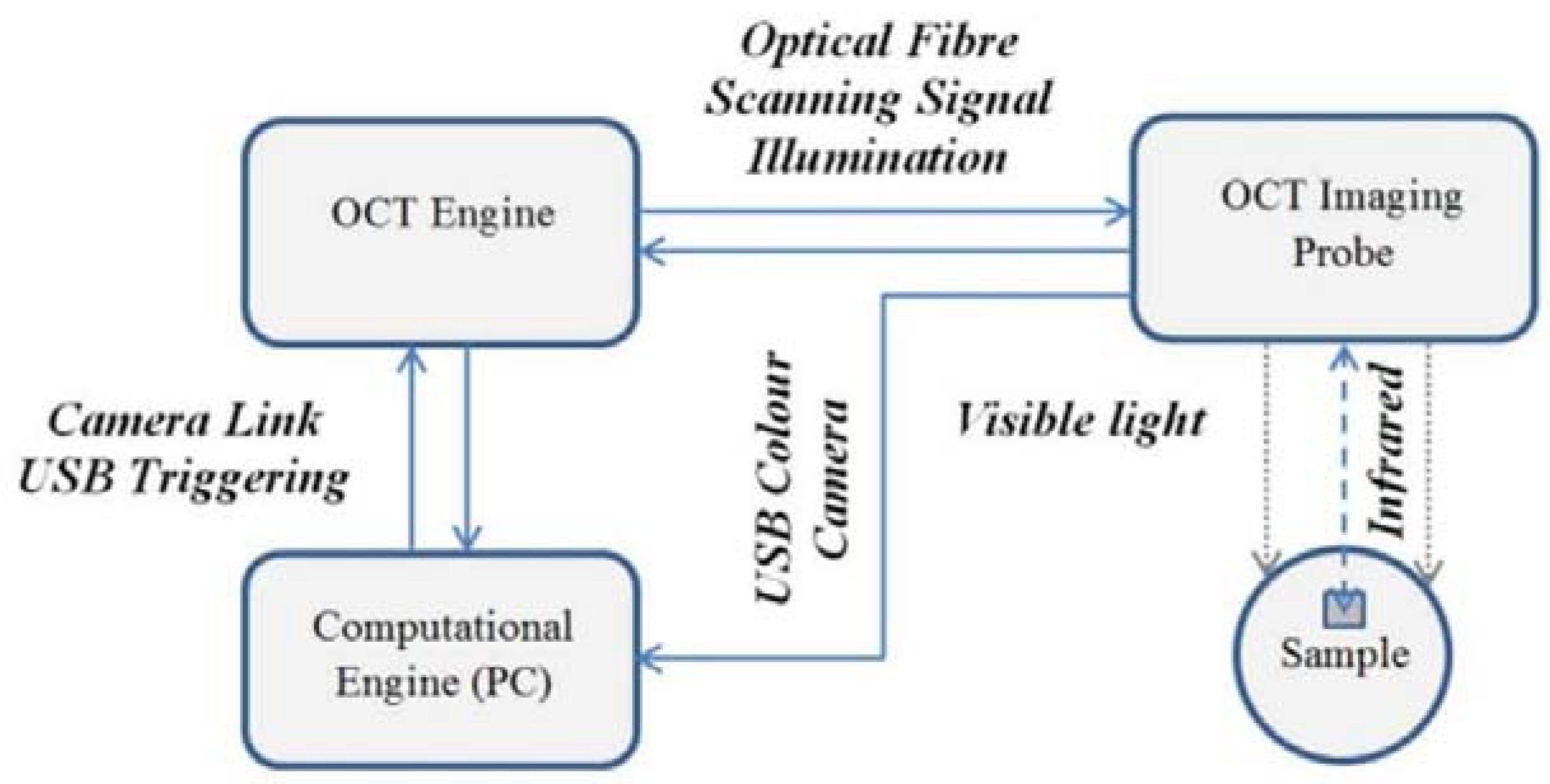 Polymers 10 00469 g007