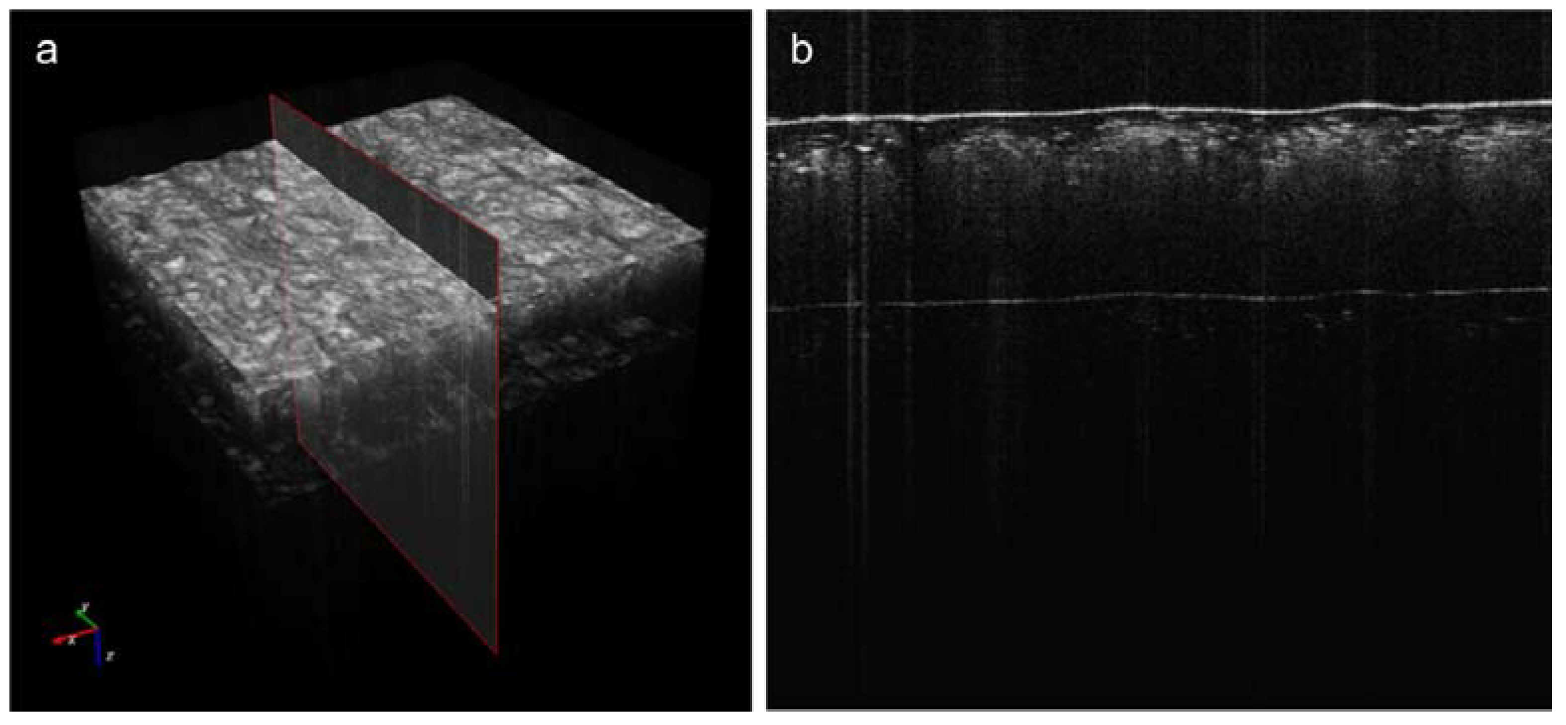 Polymers 10 00469 g011