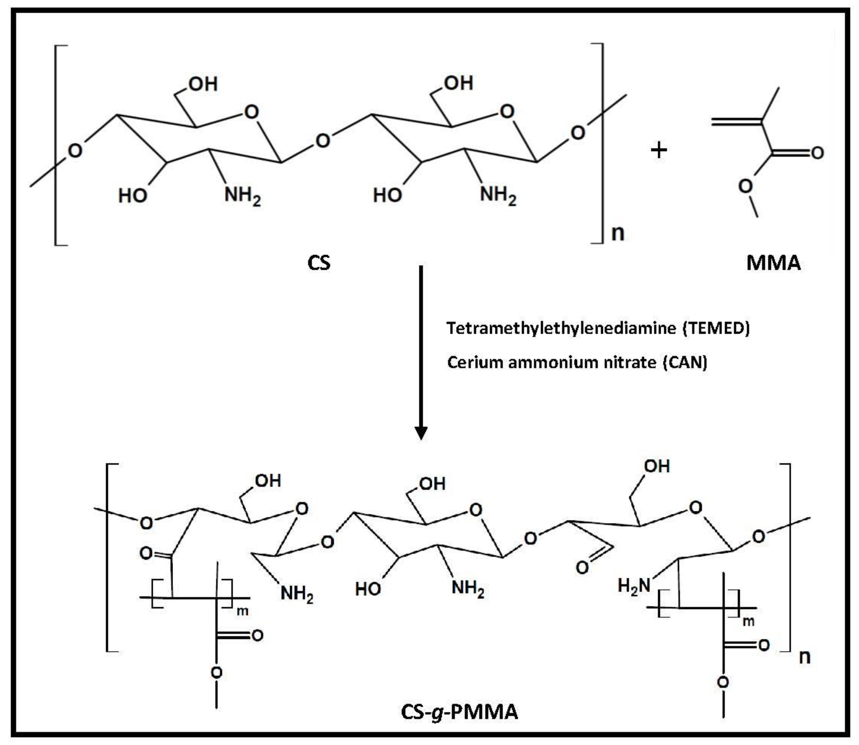 Polymers 10 00478 g002