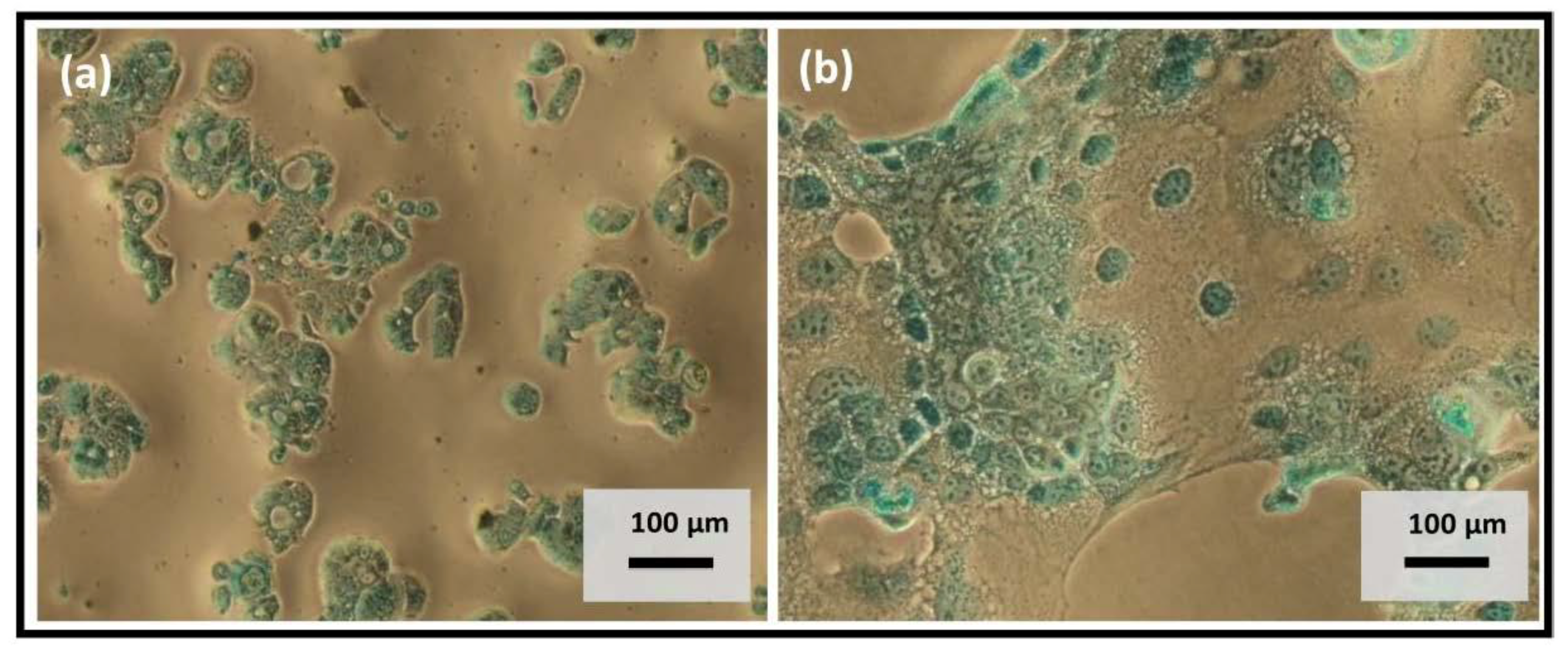 Polymers 10 00478 g009