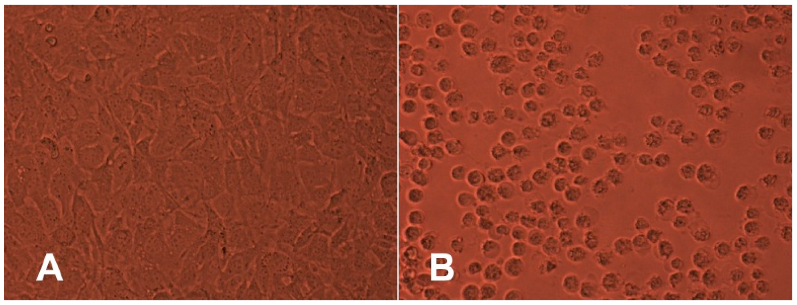 Polymers 10 00489 g002 Polymers 10 00489 g002