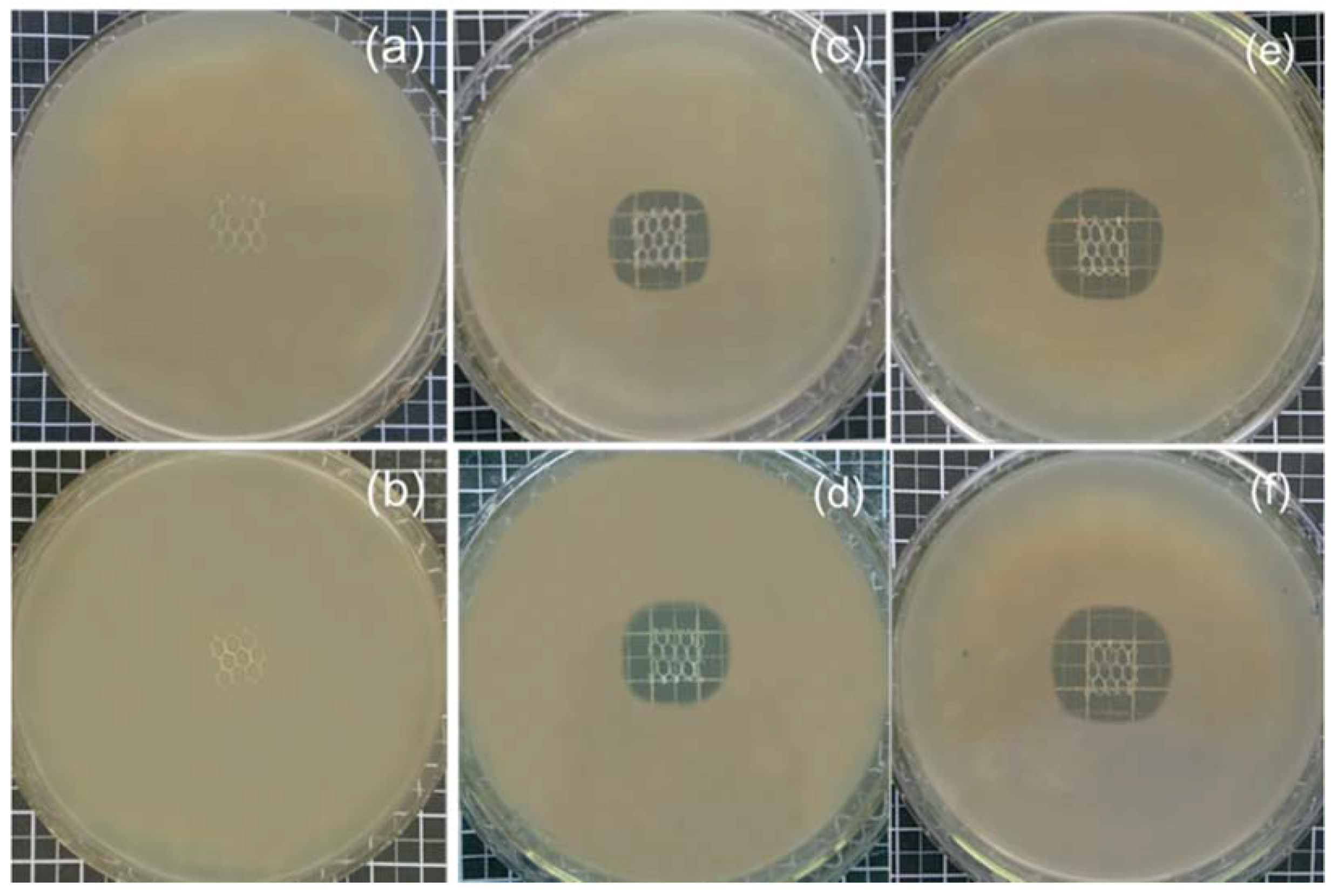 Polymers 10 00493 g007