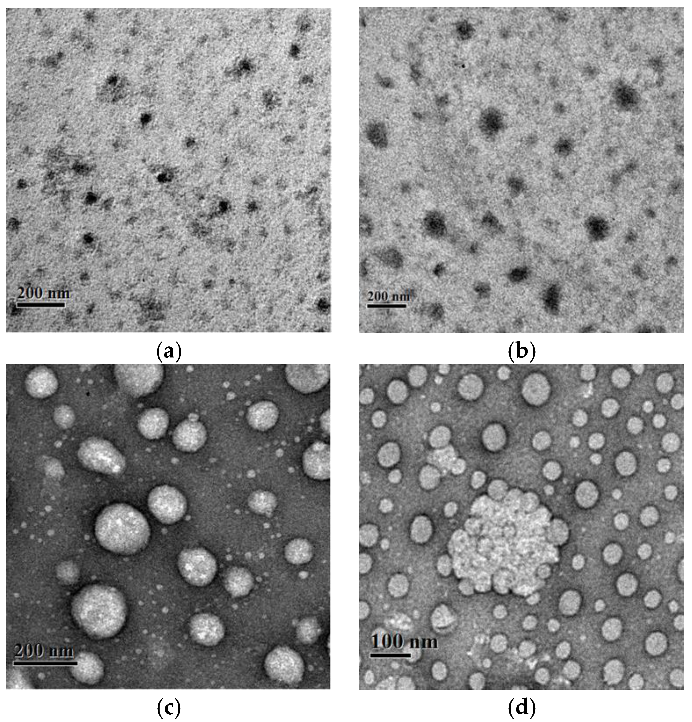 Polymers 10 00494 g002