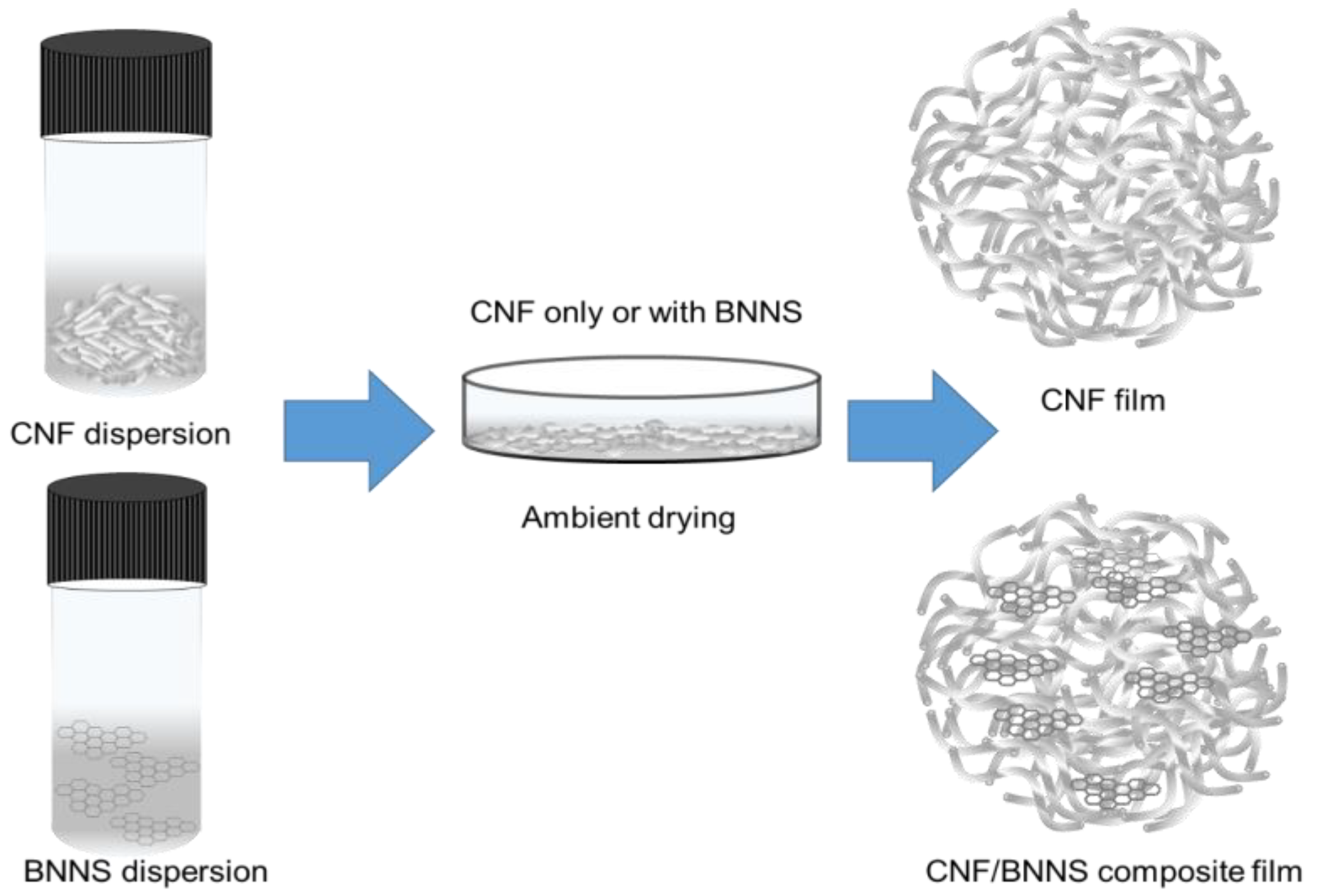 Polymers 10 00501 sch001