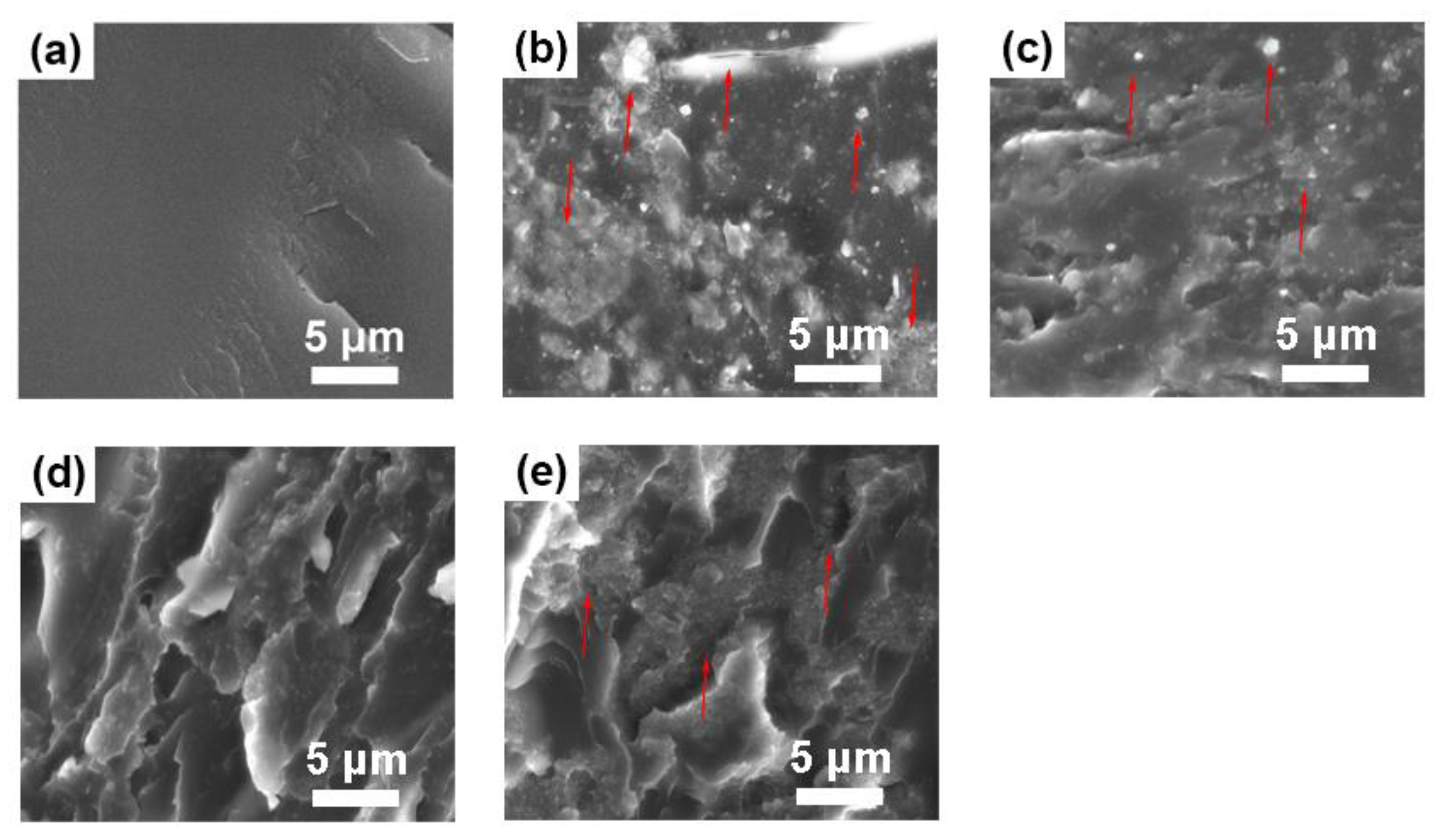 Polymers 10 00503 g008