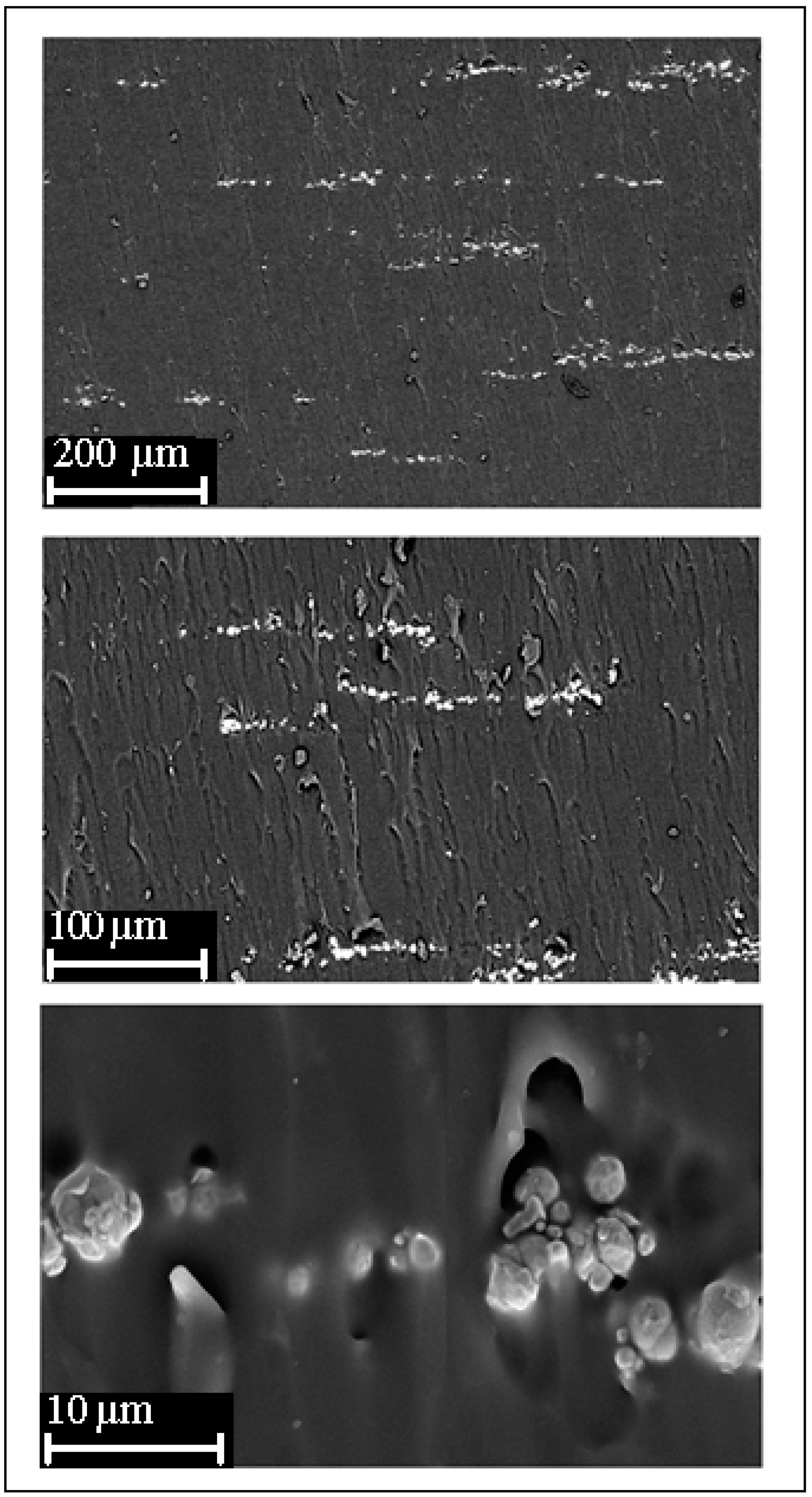 Polymers 10 00507 g003