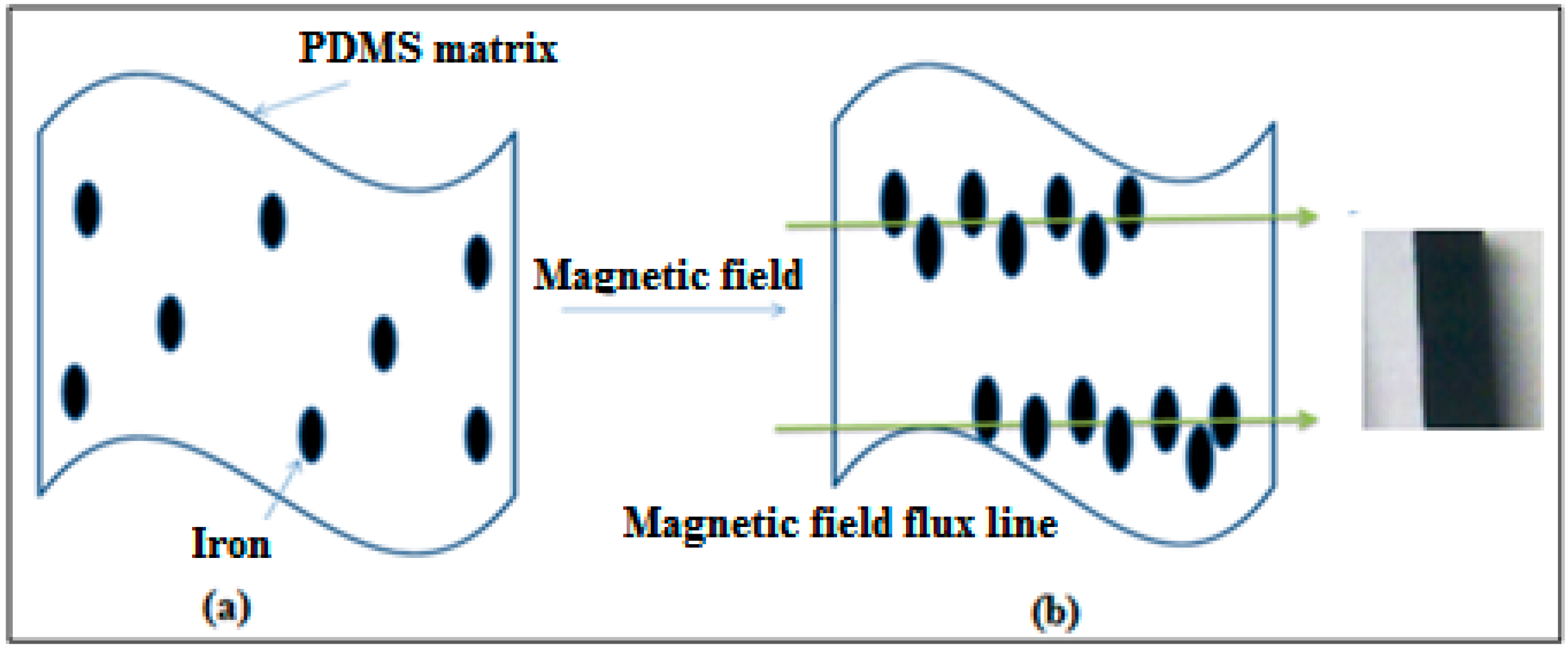 Polymers 10 00507 g004