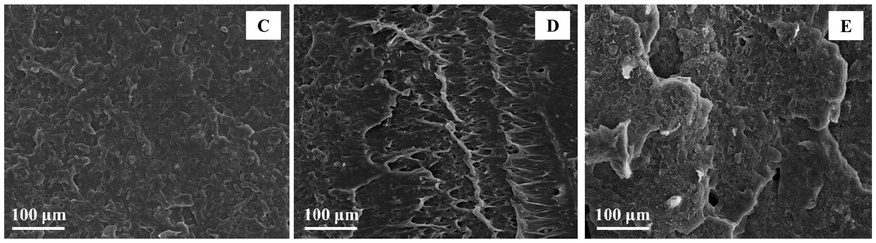 Polymers 10 00509 g006b