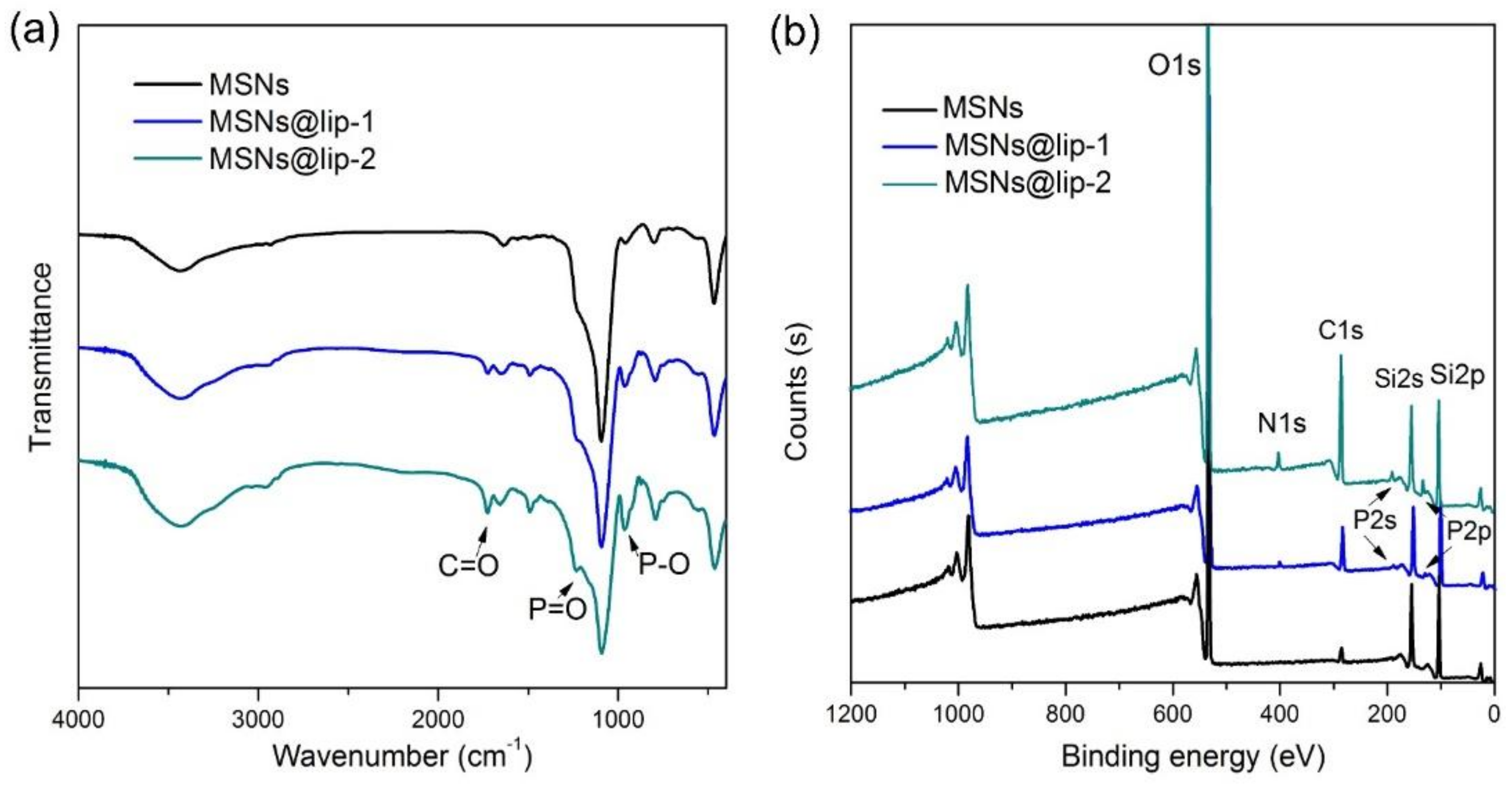 Polymers 10 00513 g002