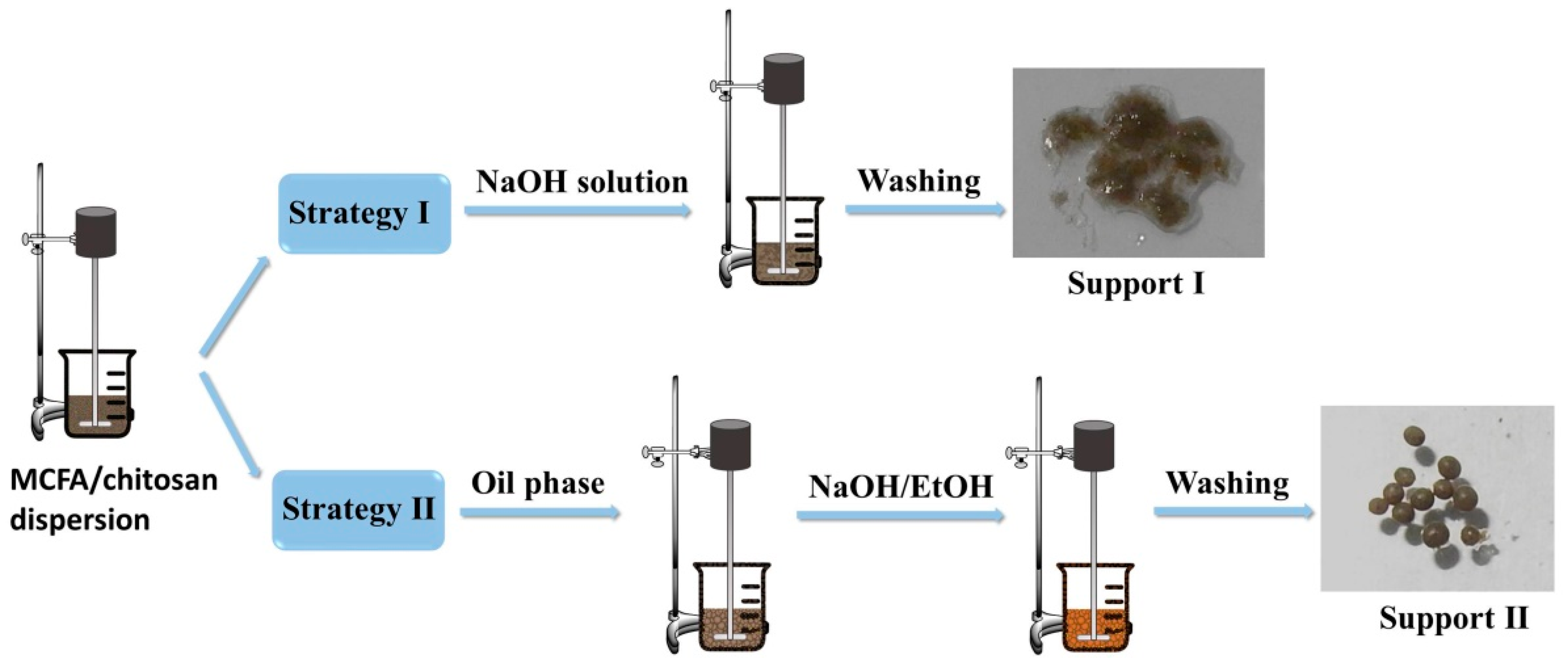 Polymers 10 00523 g001