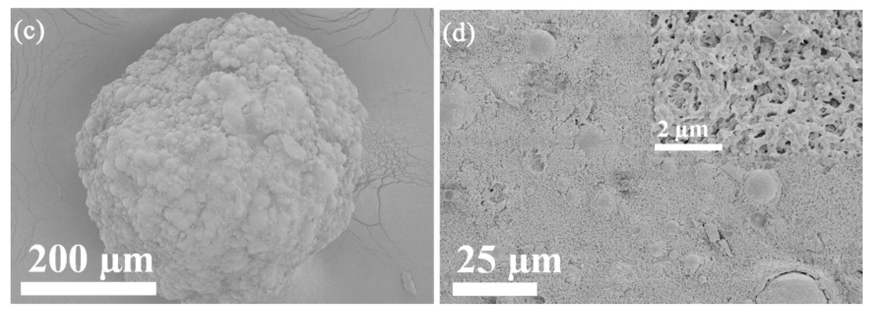 Polymers 10 00523 g002b