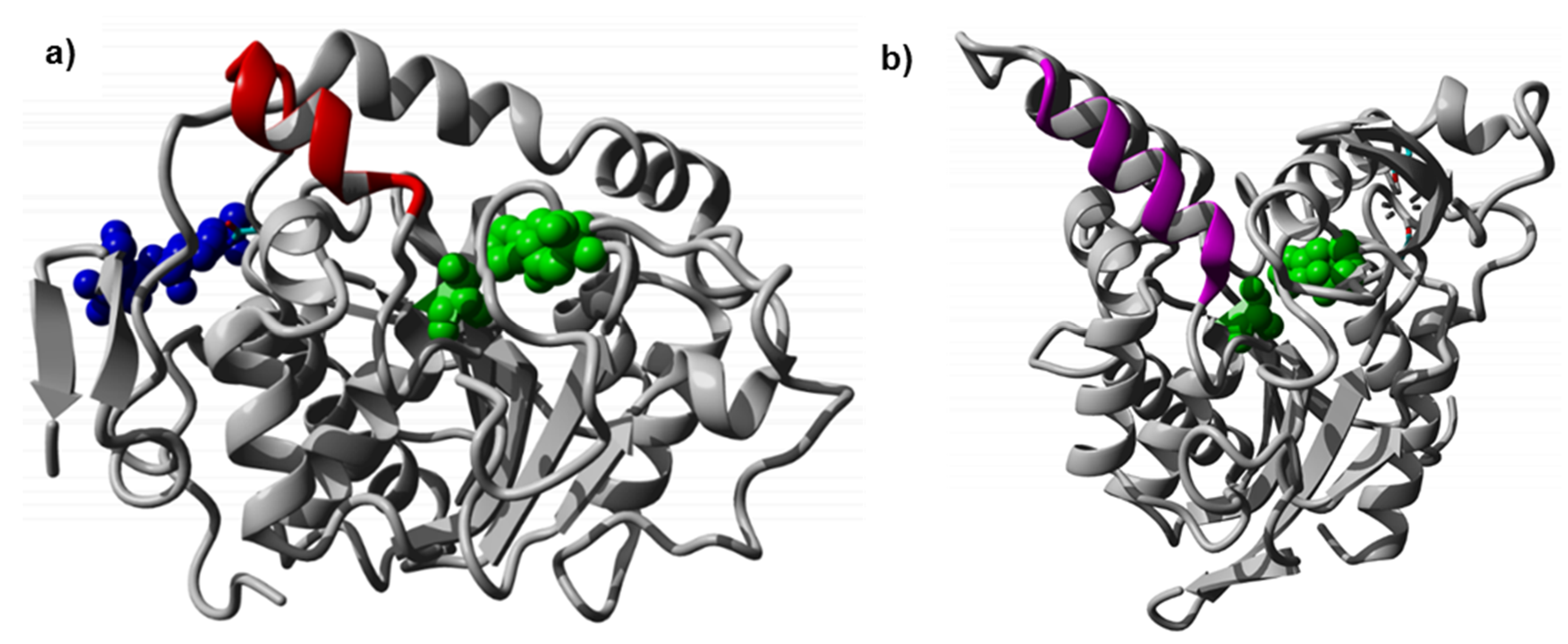 Polymers 10 00524 g001