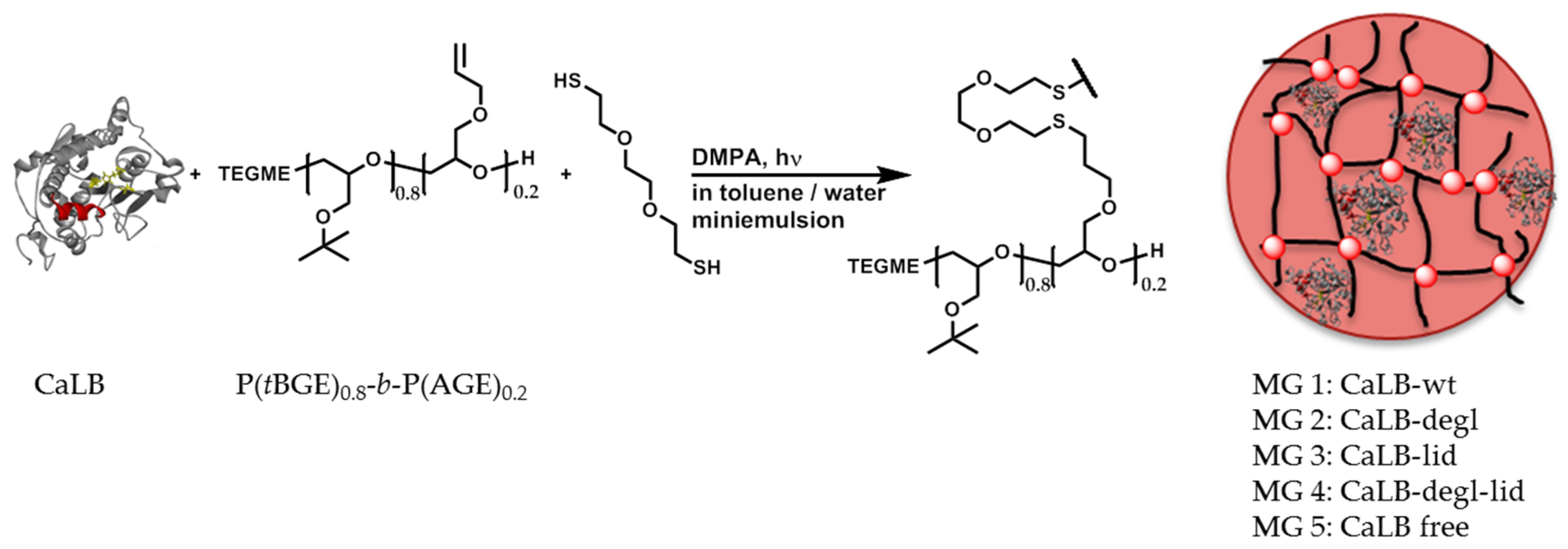 Polymers 10 00524 sch001