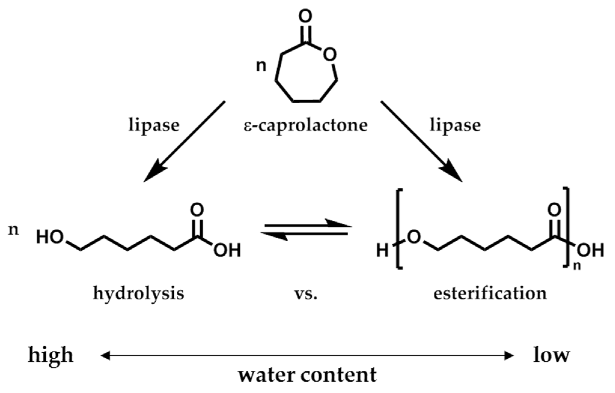 Polymers 10 00524 sch002