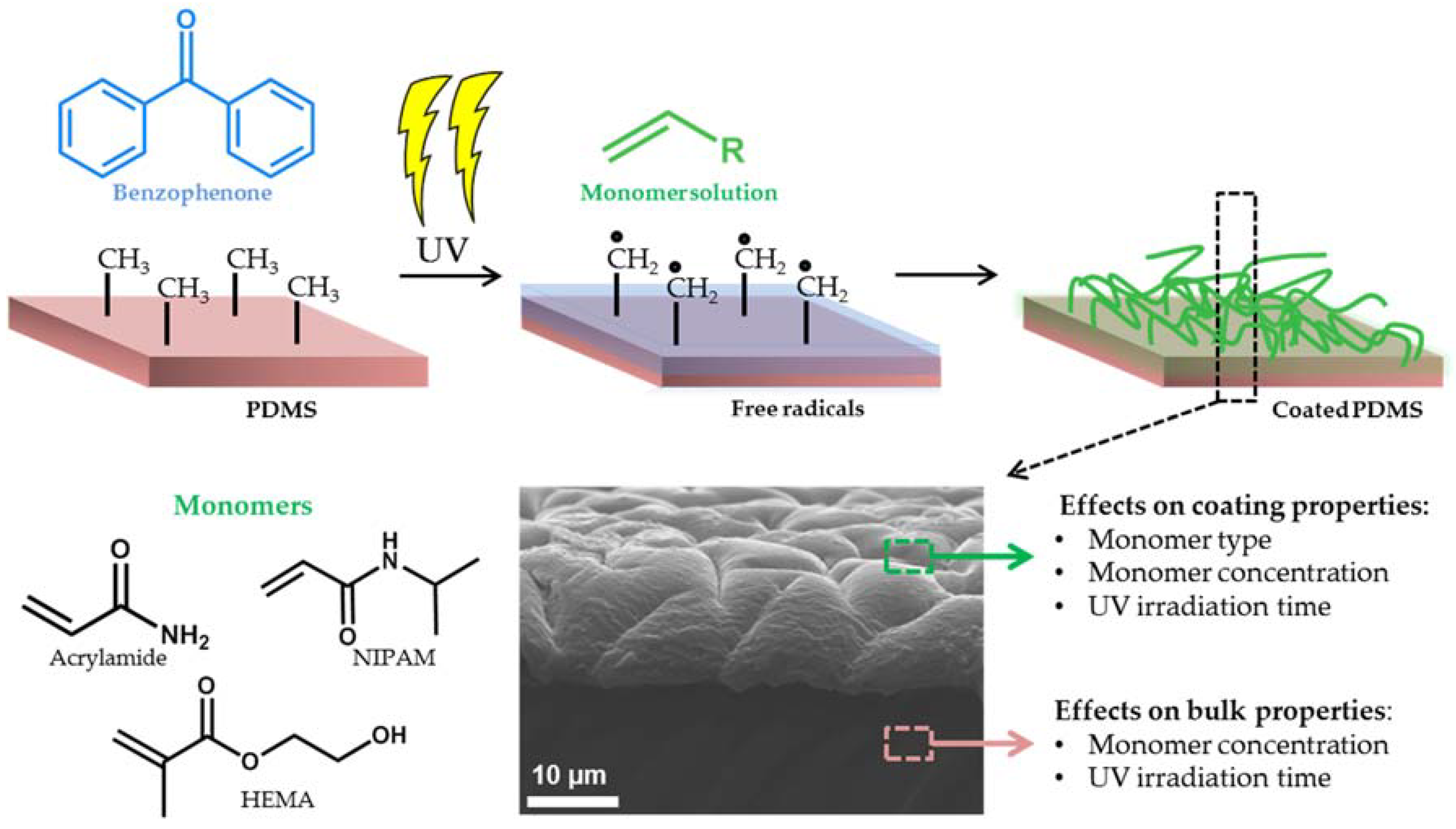 Polymers 10 00534 g001