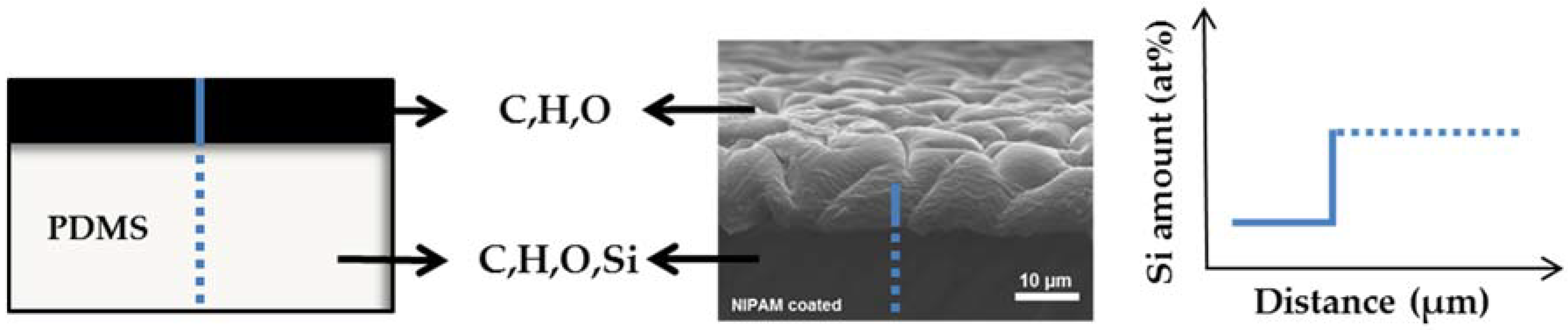 Polymers 10 00534 g005