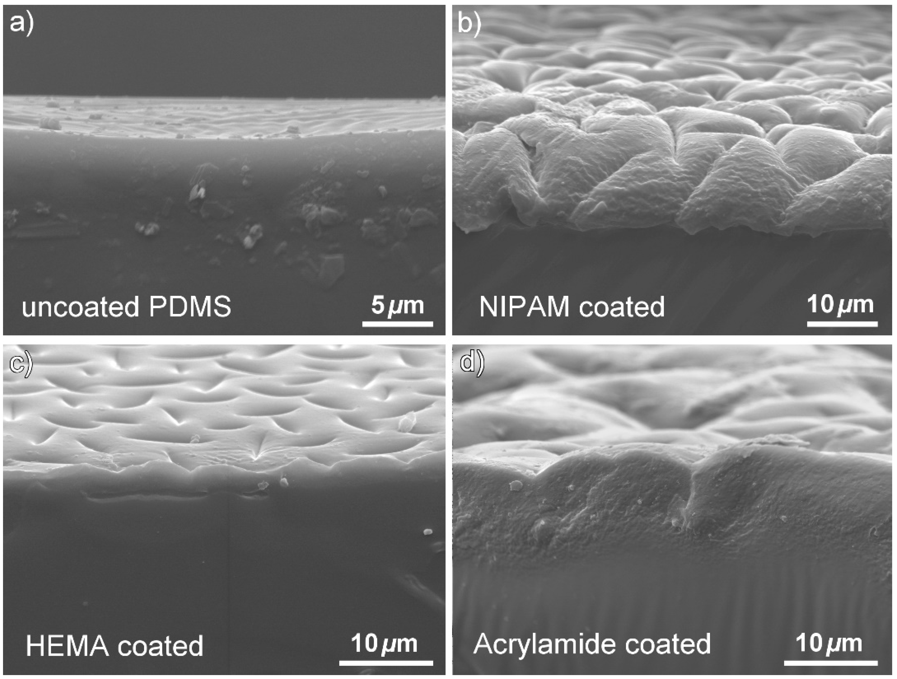 Polymers 10 00534 g006
