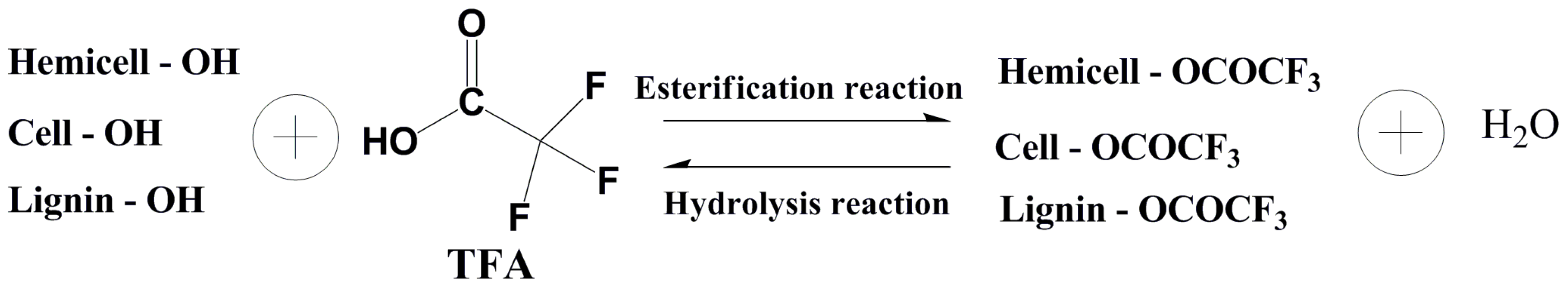 Polymers 10 00538 g002