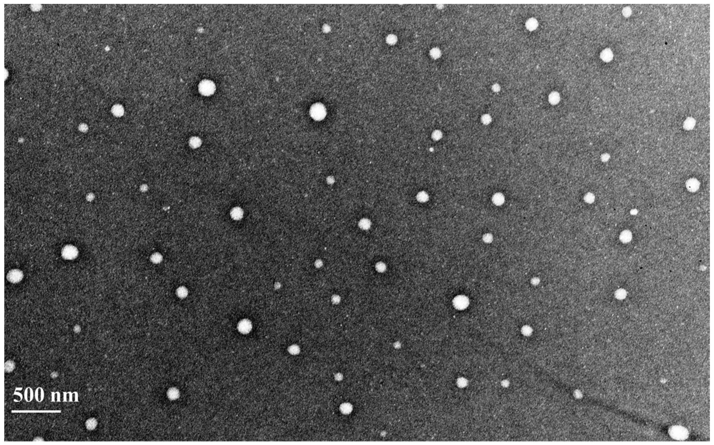 Polymers 10 00541 g002