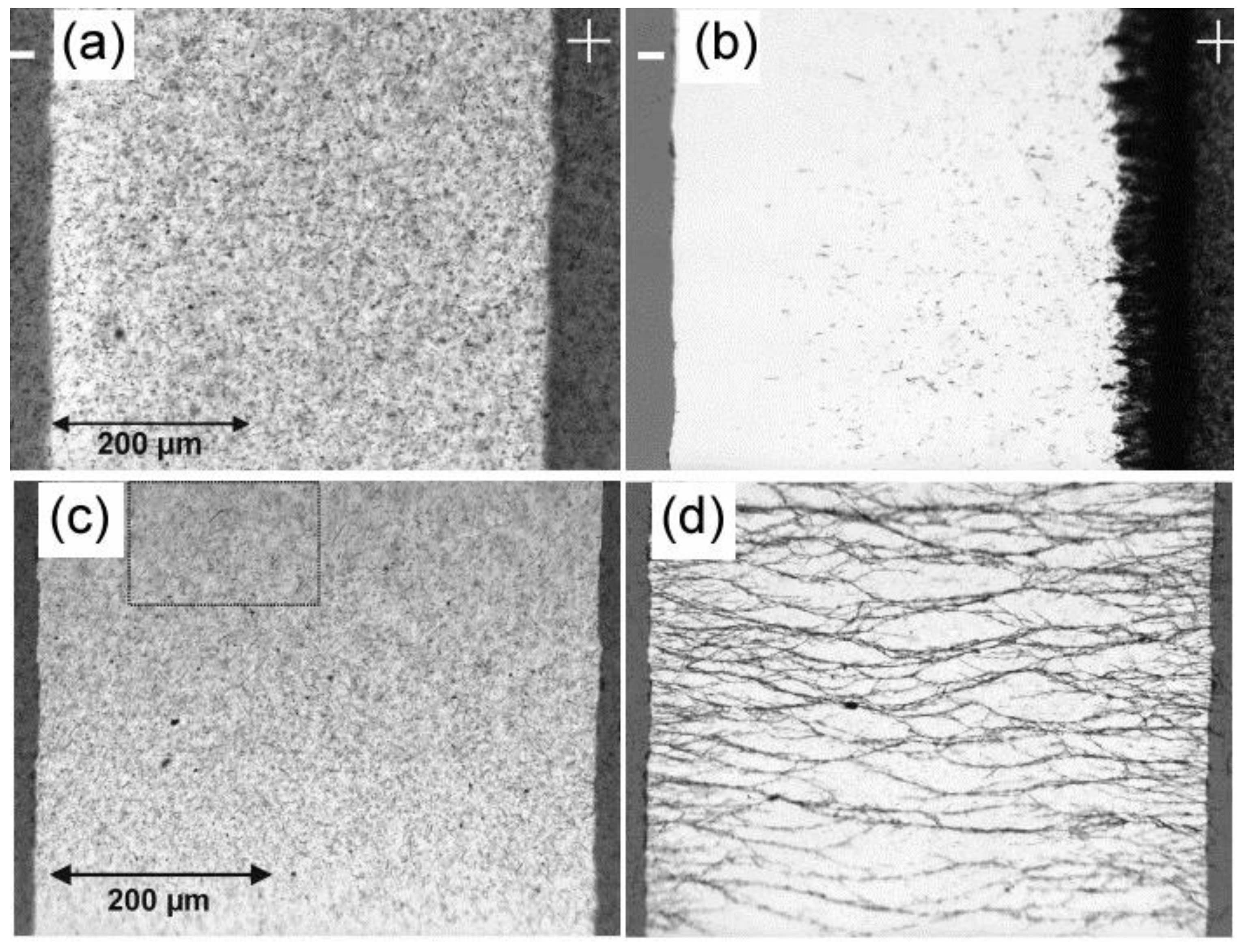 Polymers 10 00542 g004