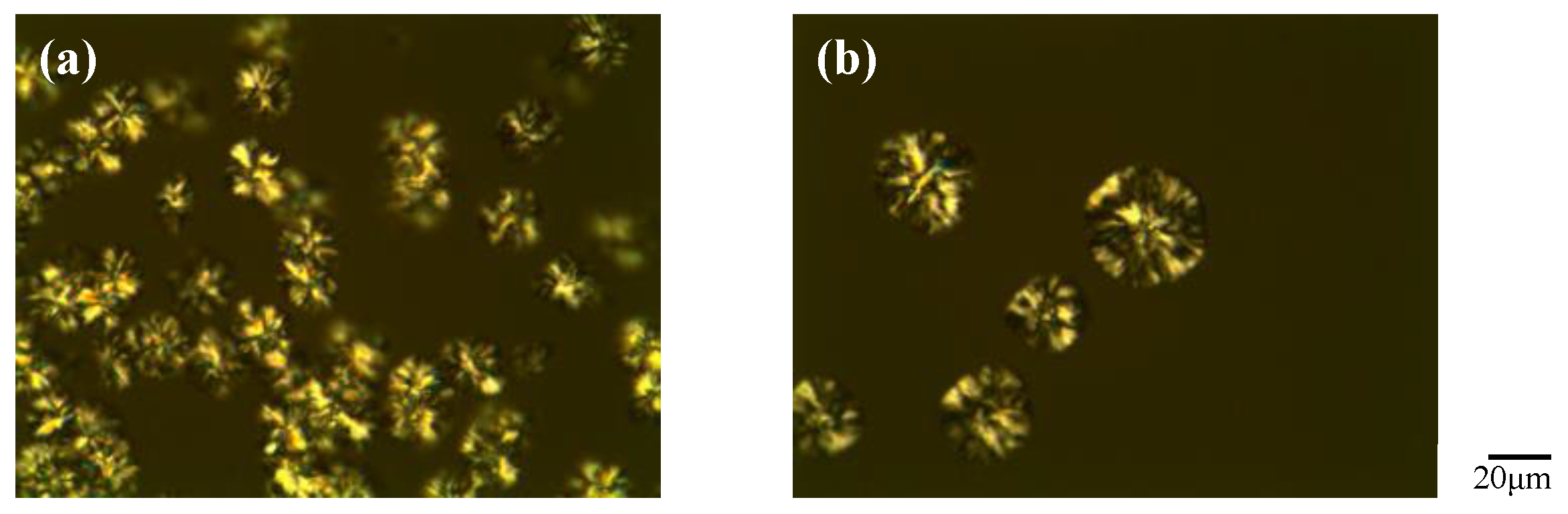 Polymers 10 00543 g009