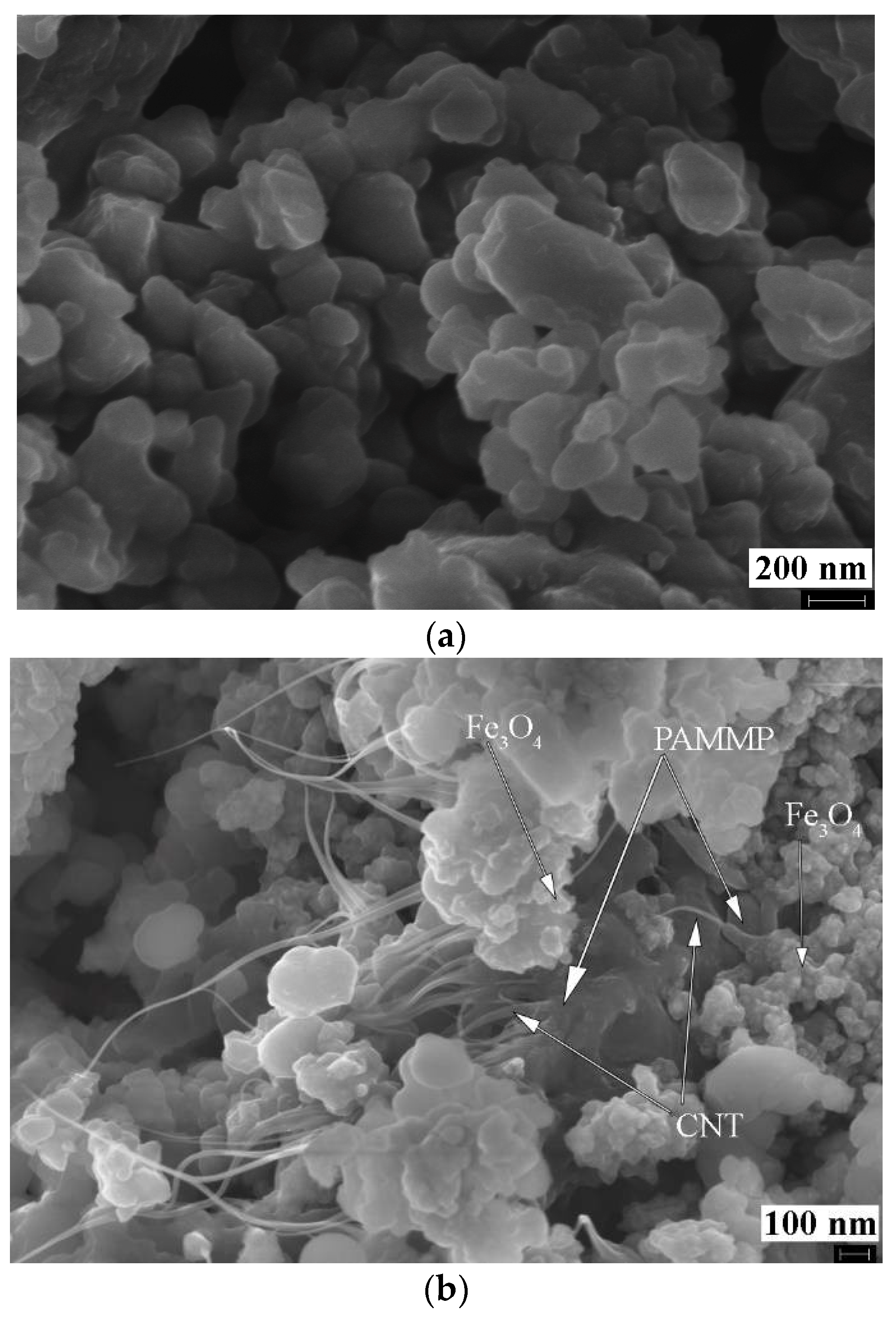 Polymers 10 00544 g007