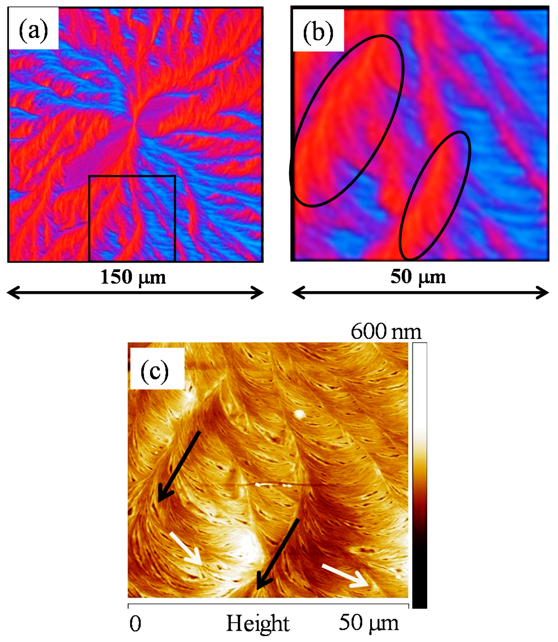 Polymers 10 00545 g001