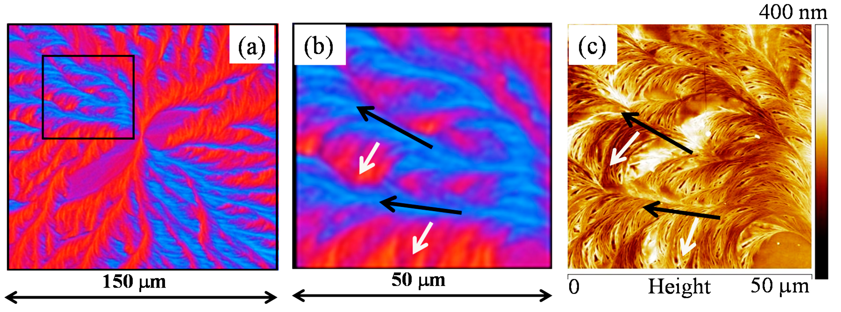 Polymers 10 00545 g002