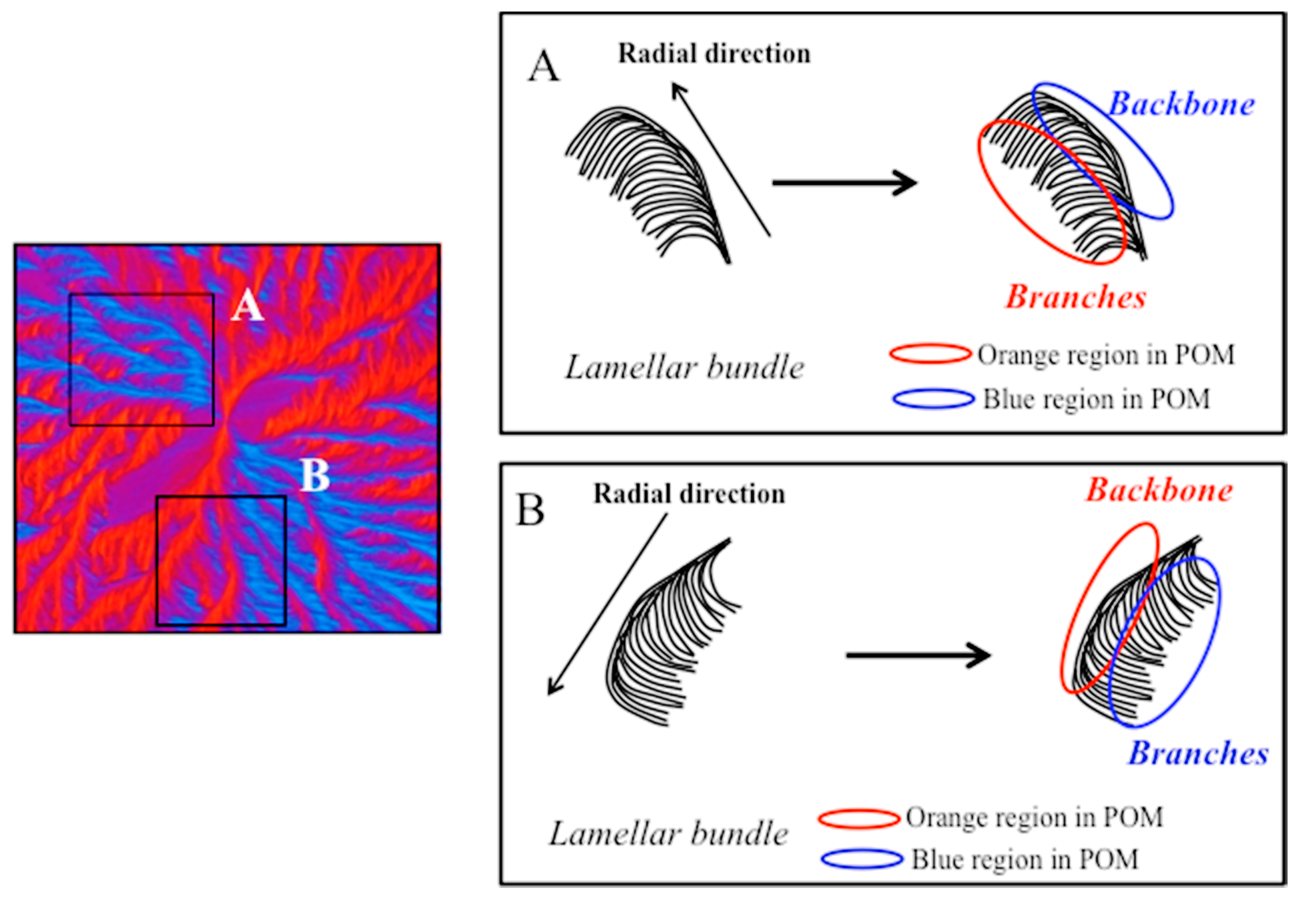 Polymers 10 00545 g005