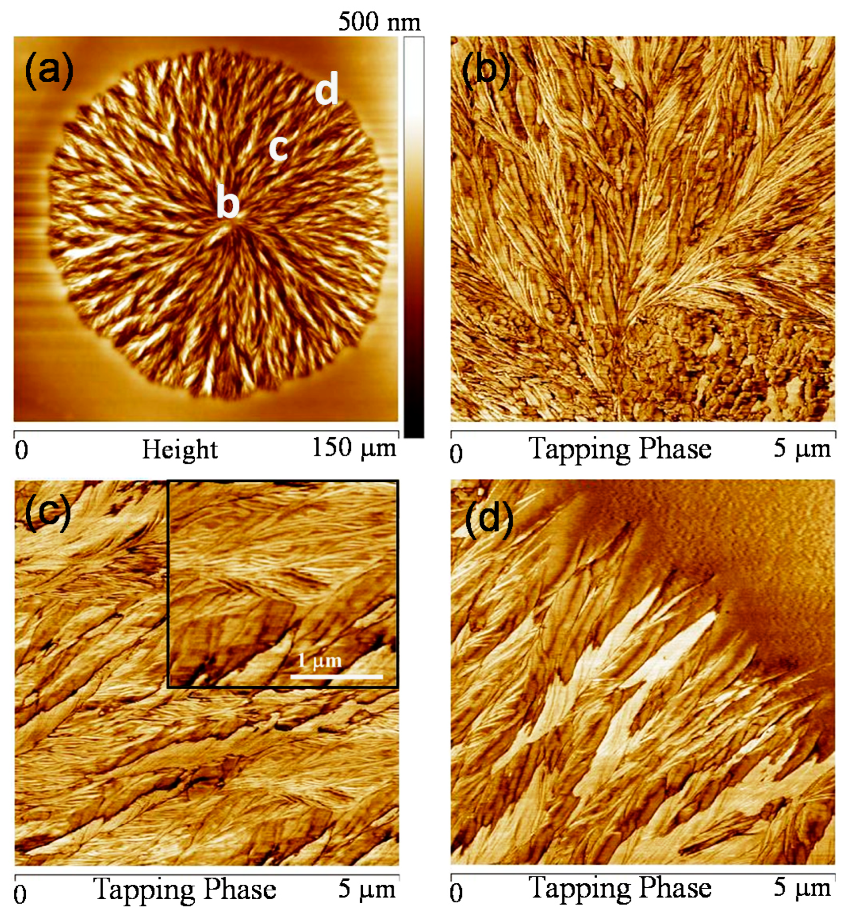 Polymers 10 00545 g006