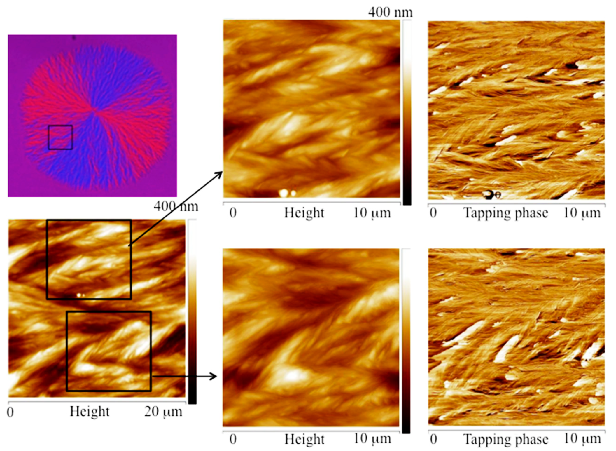 Polymers 10 00545 g008