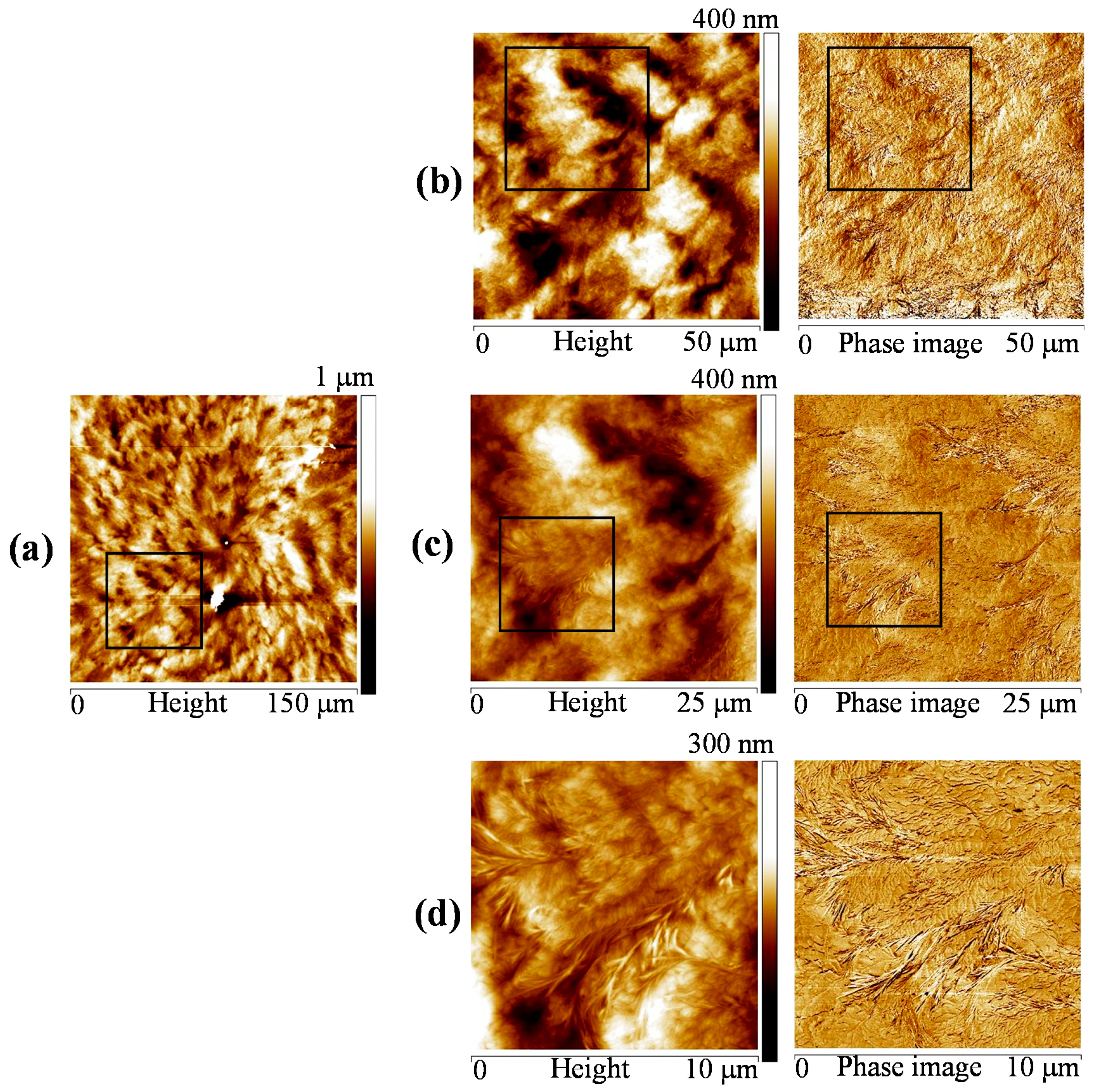 Polymers 10 00545 g009