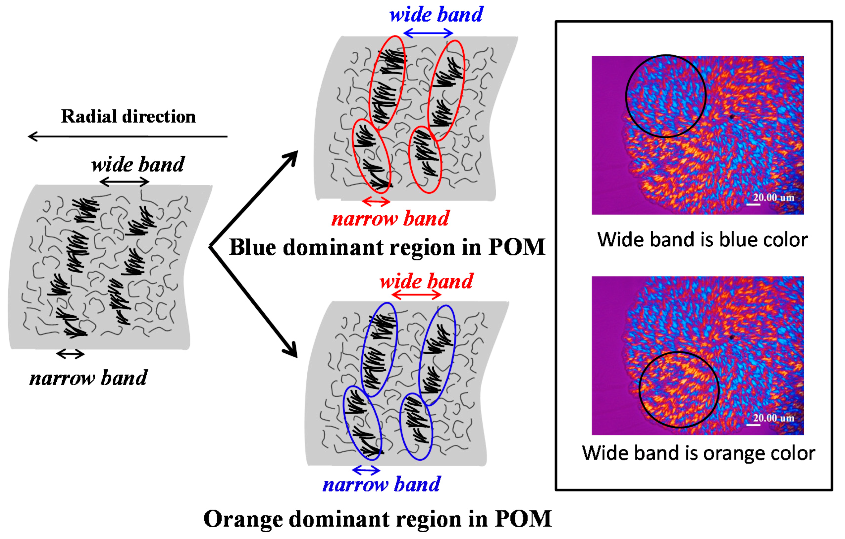 Polymers 10 00545 g010