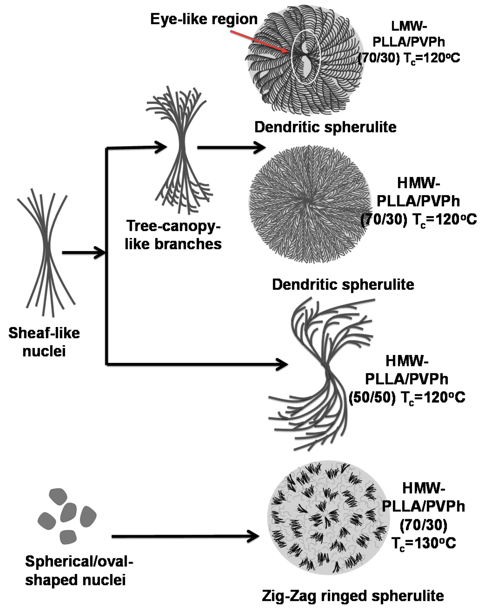 Polymers 10 00545 g013