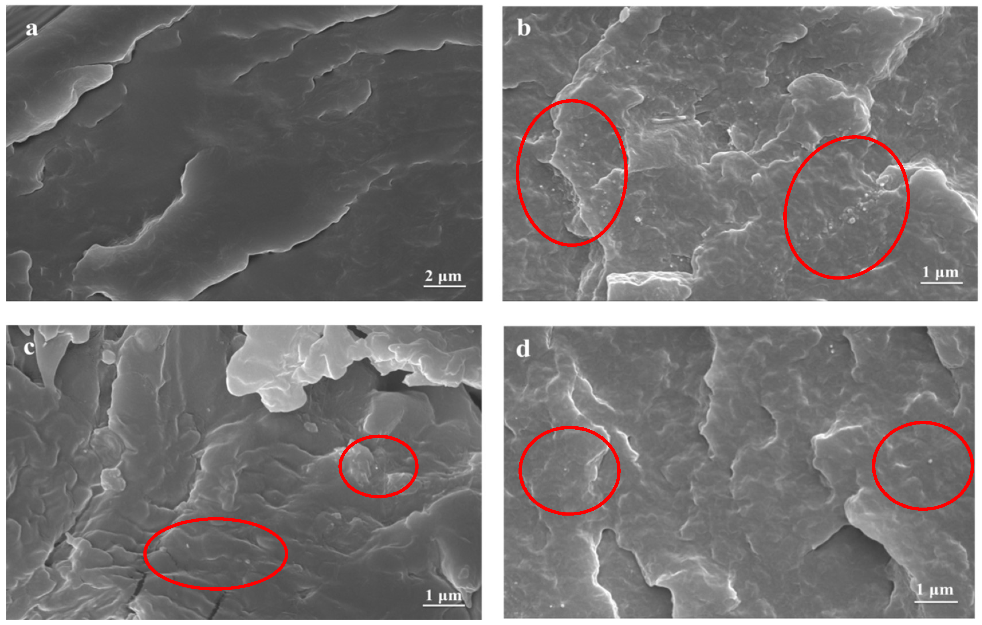 Polymers 10 00547 g008