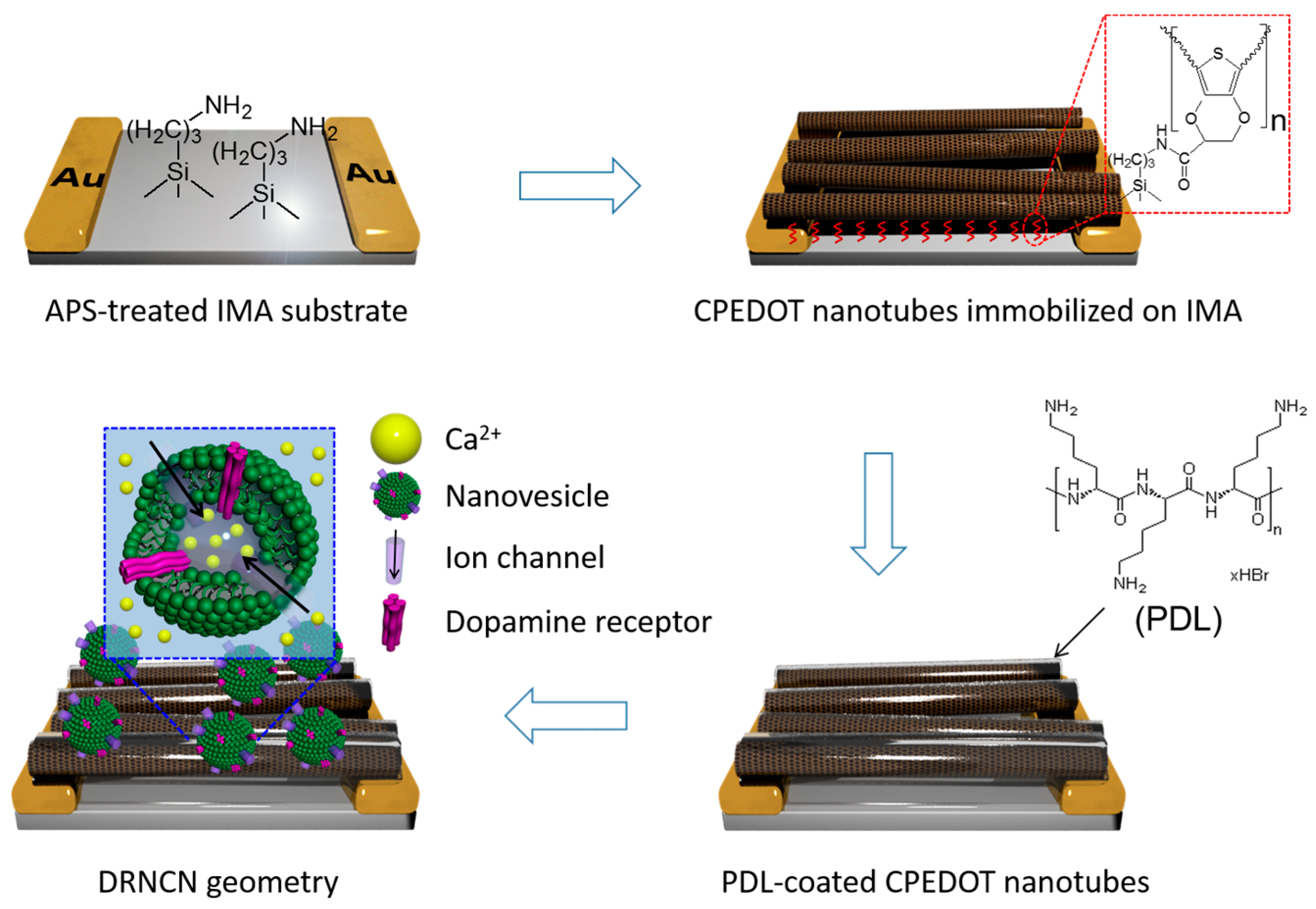 Polymers 10 00551 g002