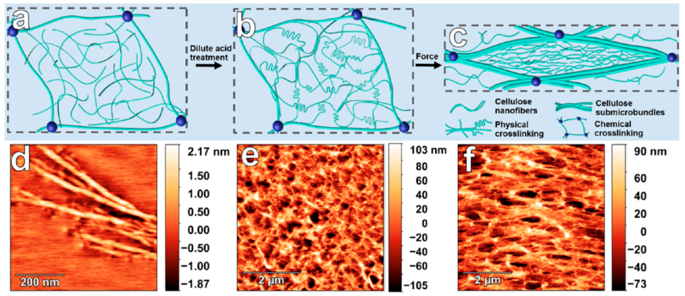Polymers 10 00551 g019
