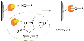 Polymers 10 00551 i003