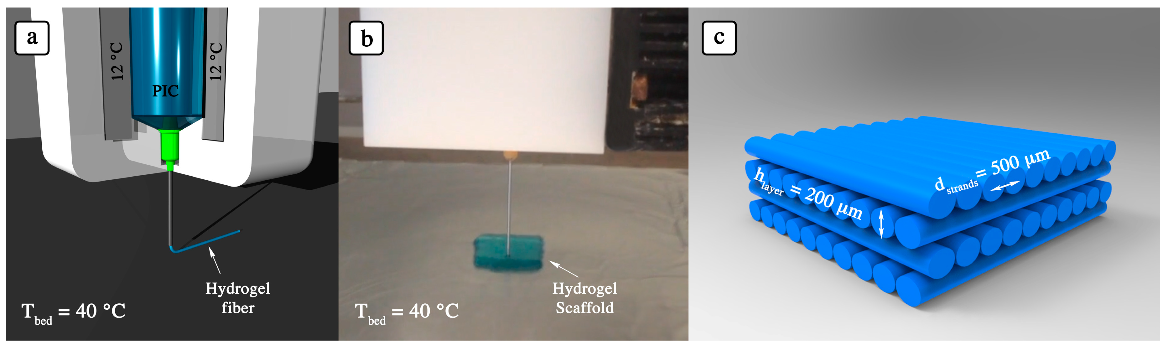 Polymers 10 00555 g002 Polymers 10 00555 g002