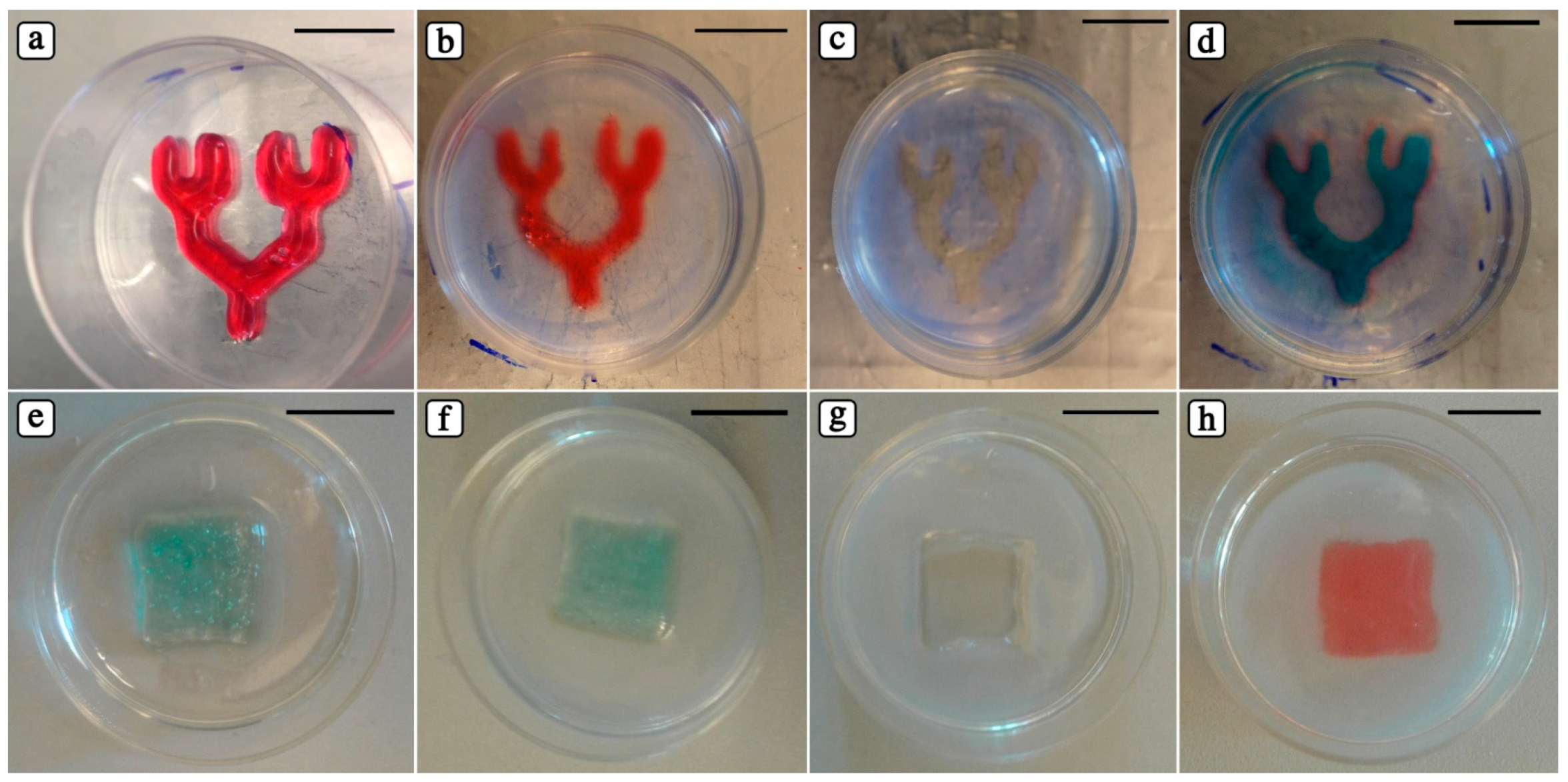 Polymers 10 00555 g005 Polymers 10 00555 g005
