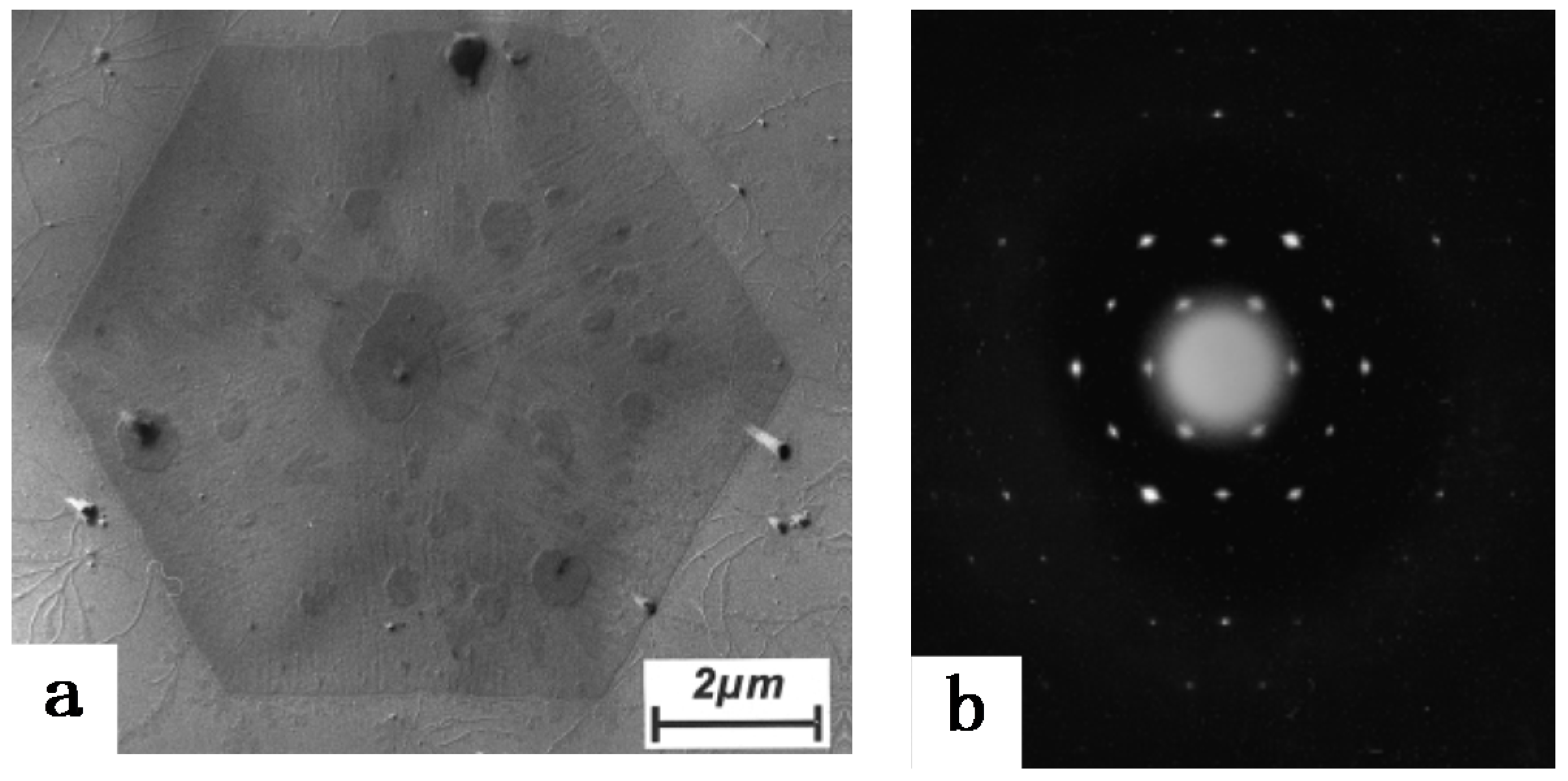 Polymers 10 00556 g004