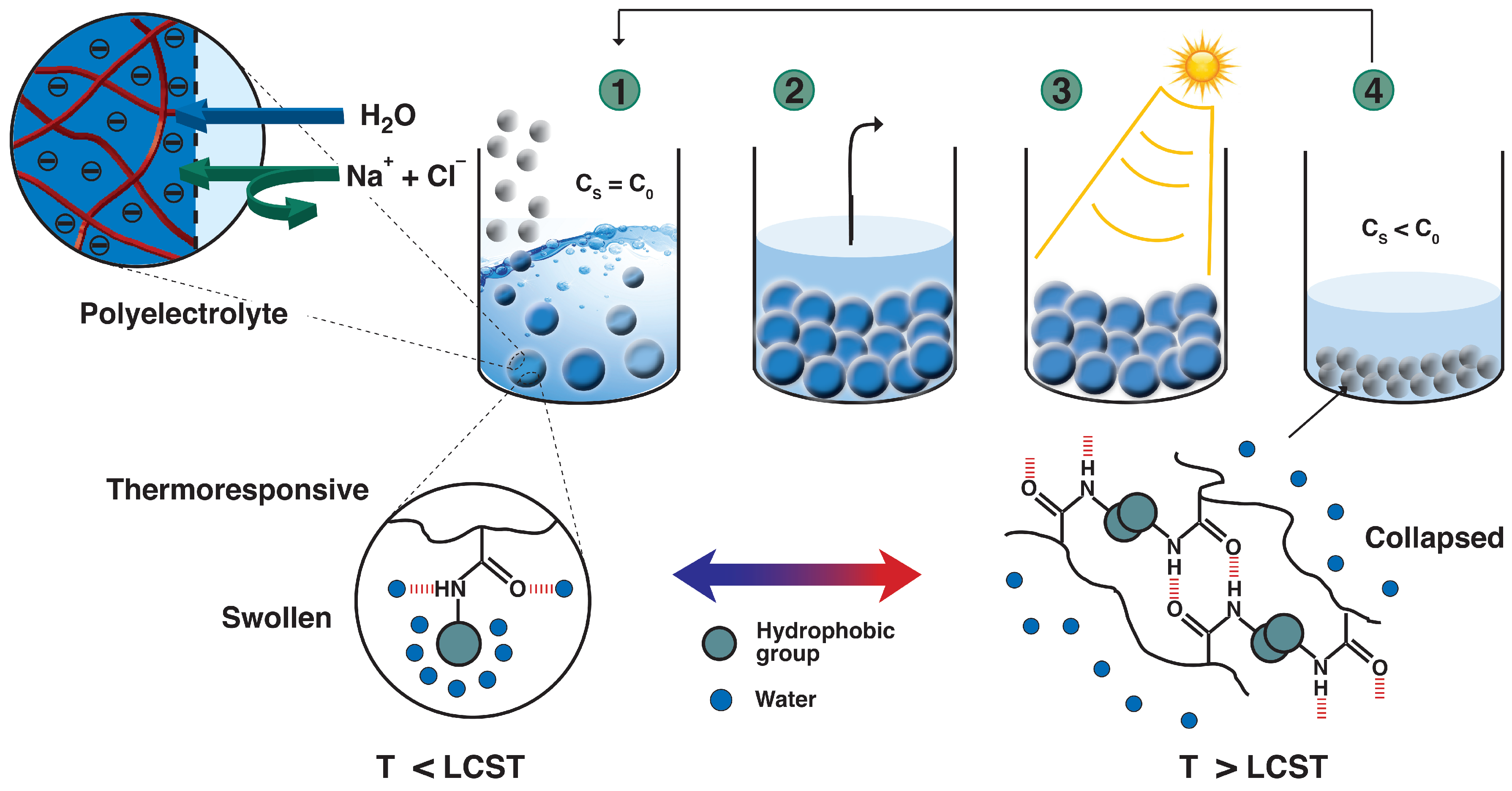 Polymers 10 00567 g001
