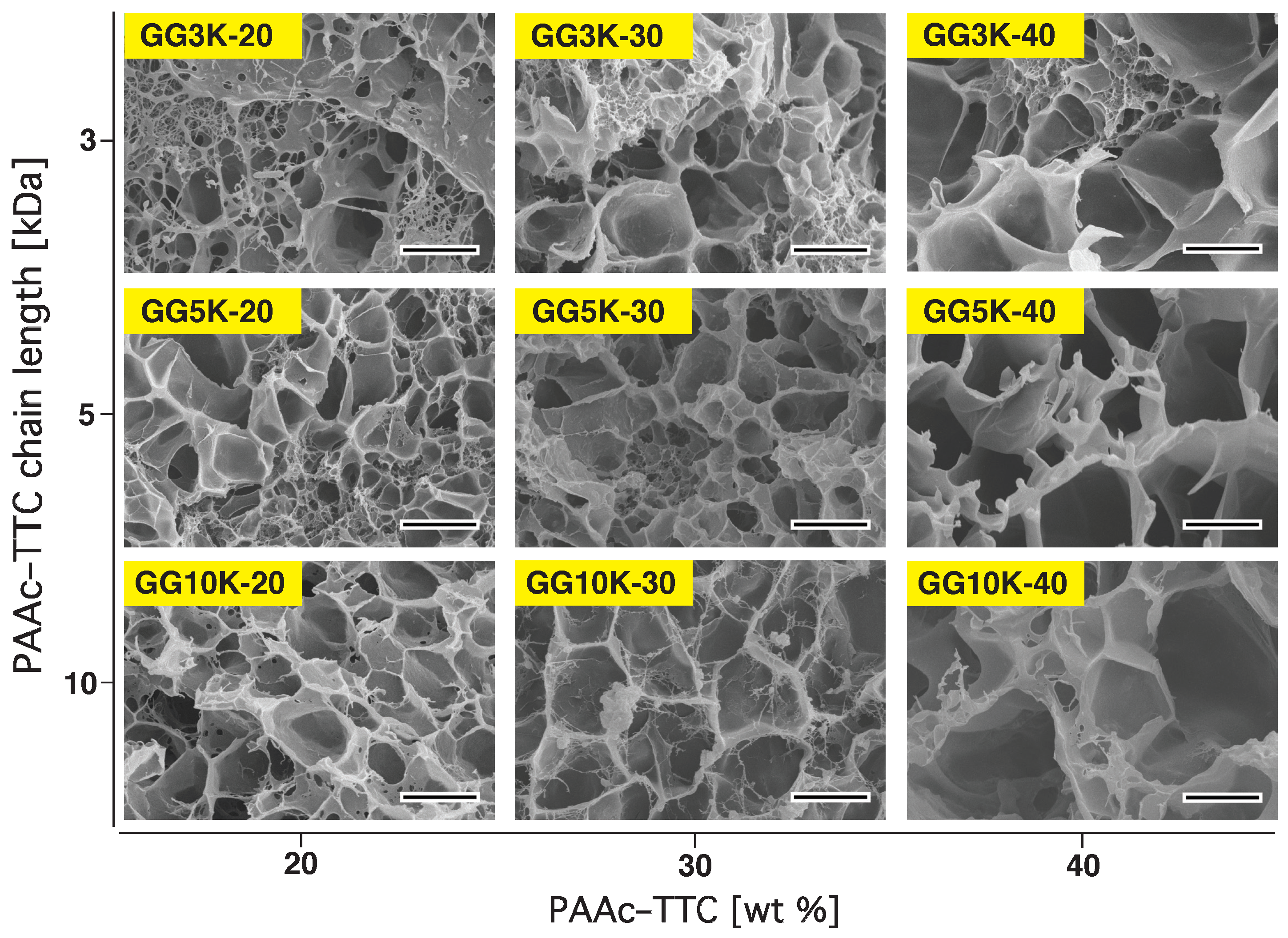 Polymers 10 00567 g002