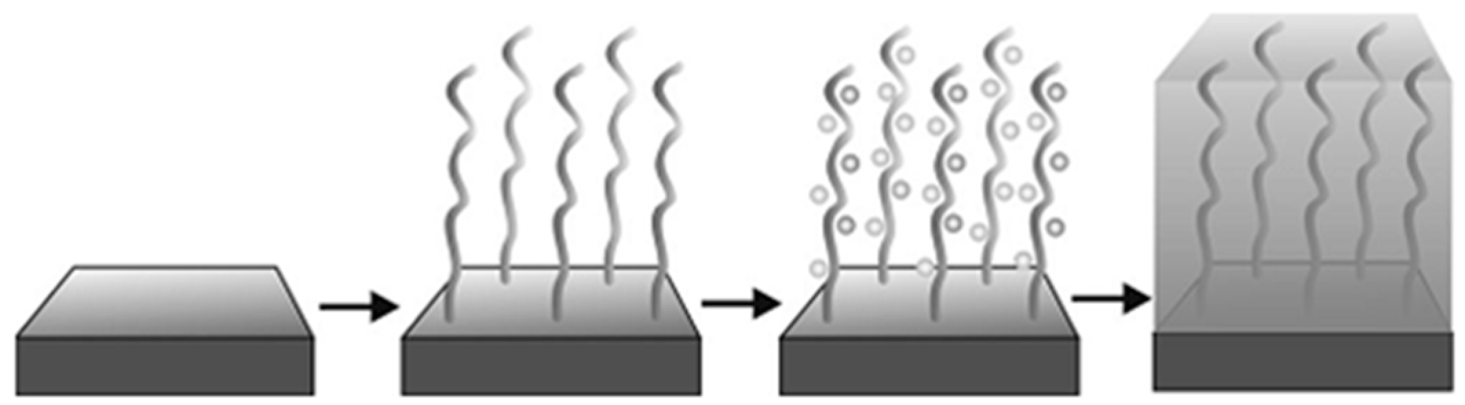 Polymers 10 00573 g001 Polymers 10 00573 g001