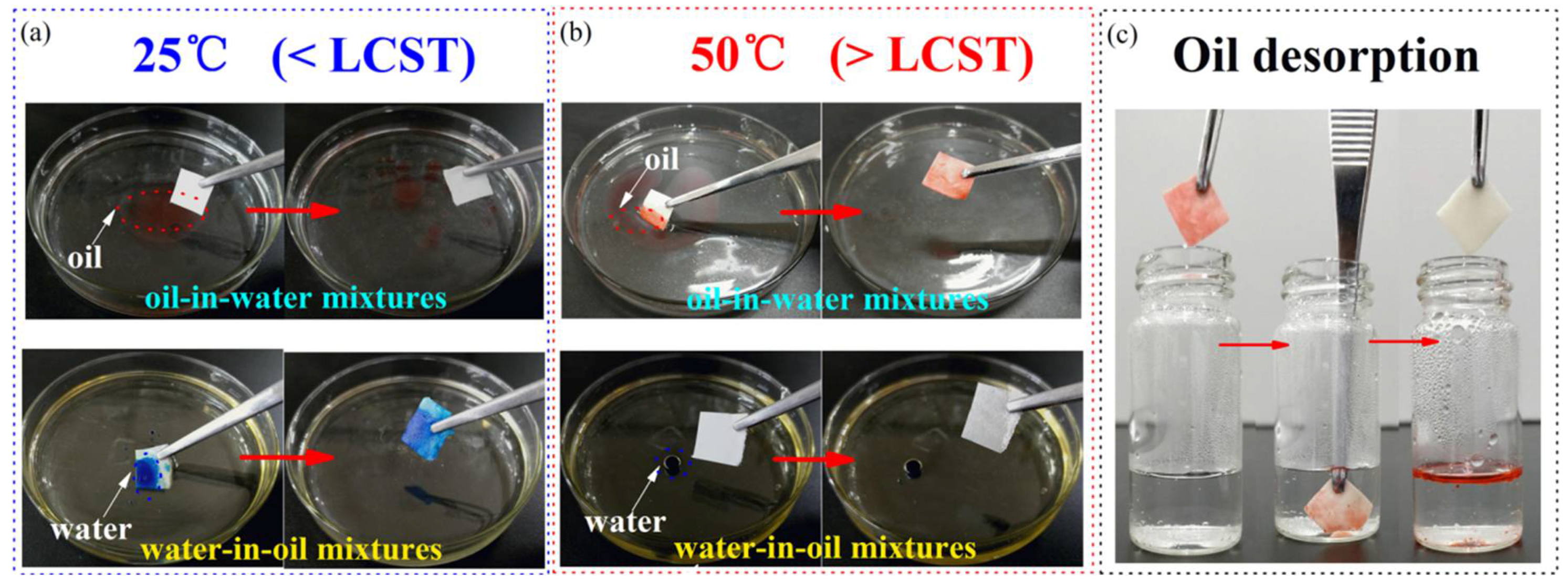 Polymers 10 00592 g010